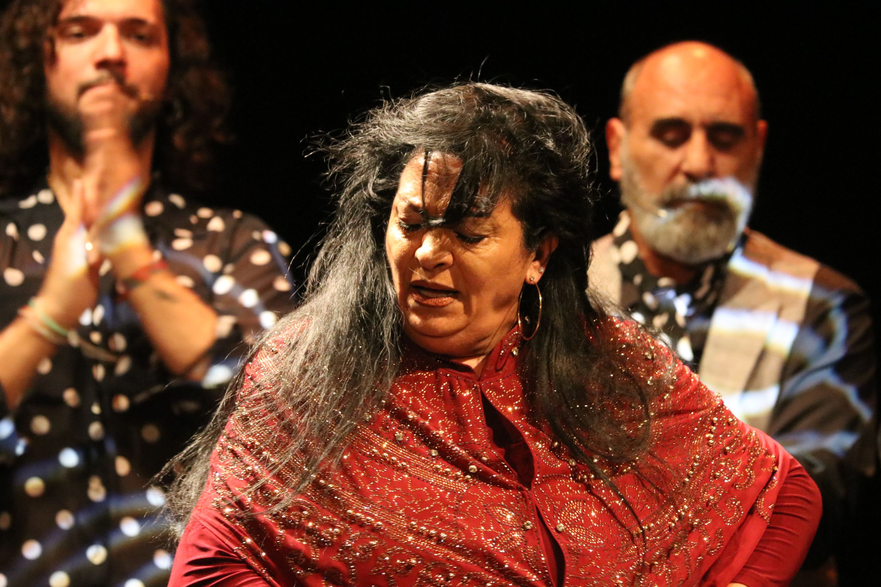 Farrucos y Fernández en el Palacio Erisana