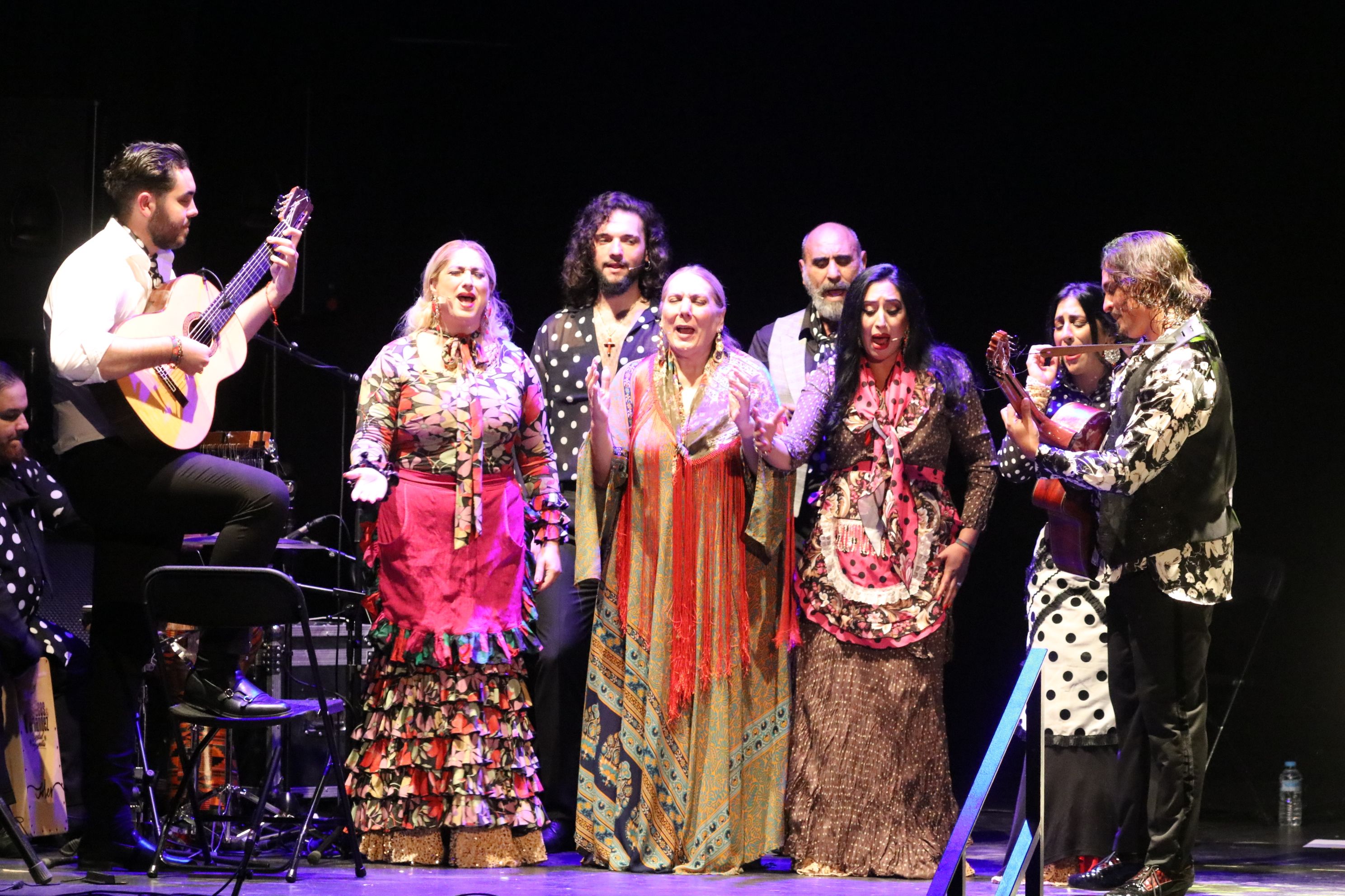 Farrucos y Fernández en el Palacio Erisana