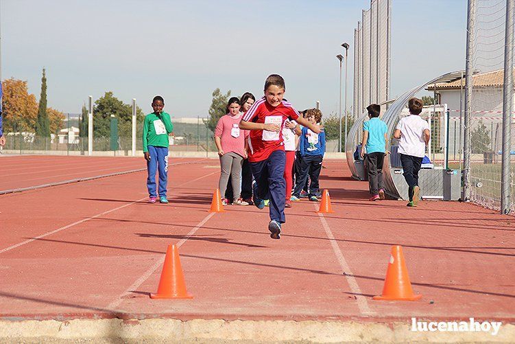 Casi 500 escolares celebran el Día del Niño en el Patronato Deportivo Municipal