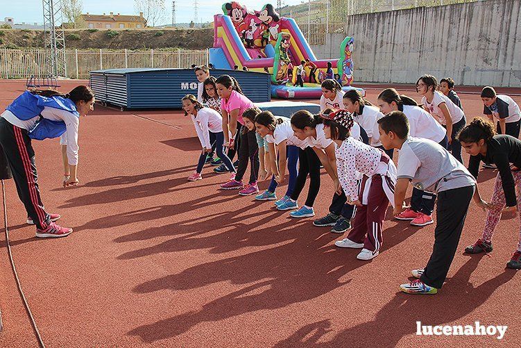 Casi 500 escolares celebran el Día del Niño en el Patronato Deportivo Municipal Casi 500 escolares celebran el Día del Niño en el Patronato Deportivo Municipal