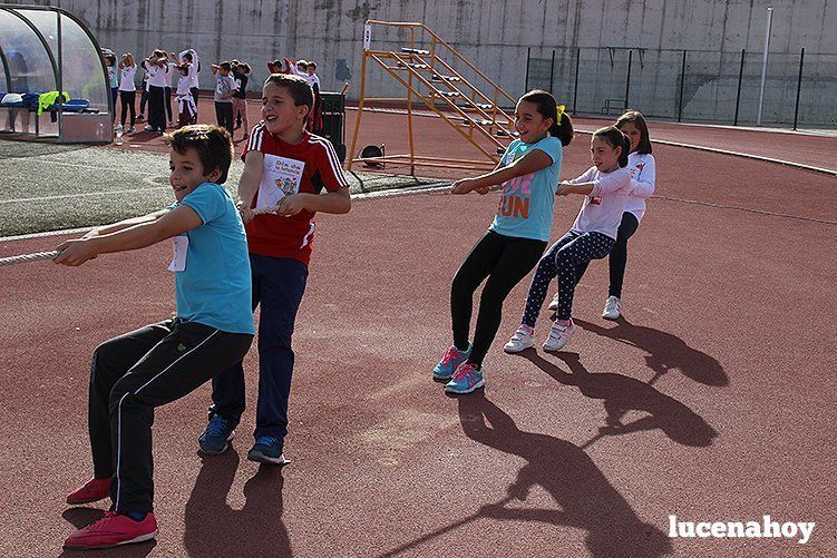 Casi 500 escolares celebran el Día del Niño en el Patronato Deportivo Municipal Casi 500 escolares celebran el Día del Niño en el Patronato Deportivo Municipal