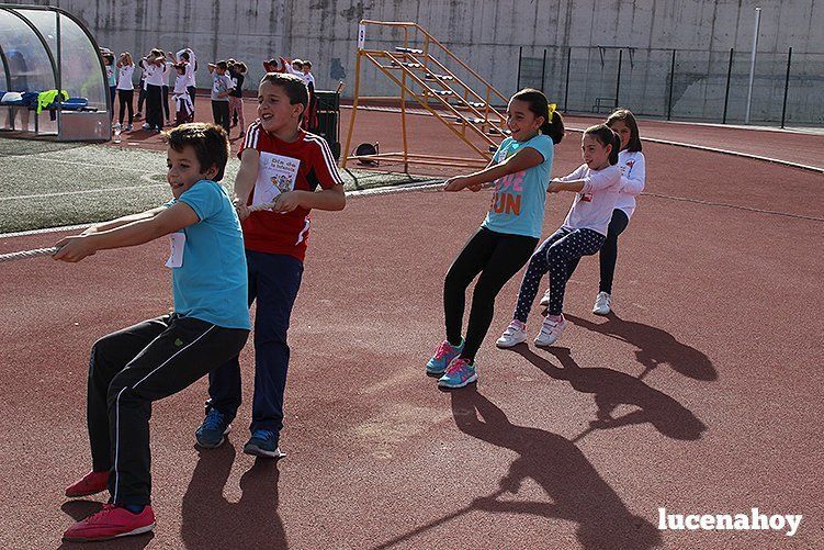 Casi 500 escolares celebran el Día del Niño en el Patronato Deportivo Municipal