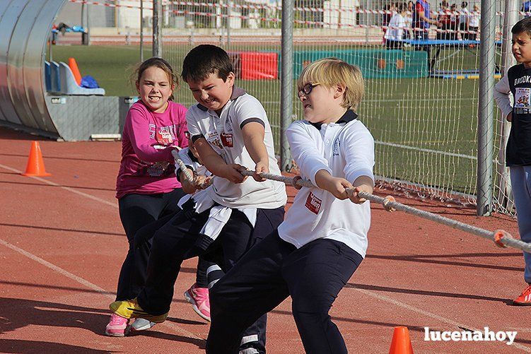 Casi 500 escolares celebran el Día del Niño en el Patronato Deportivo Municipal