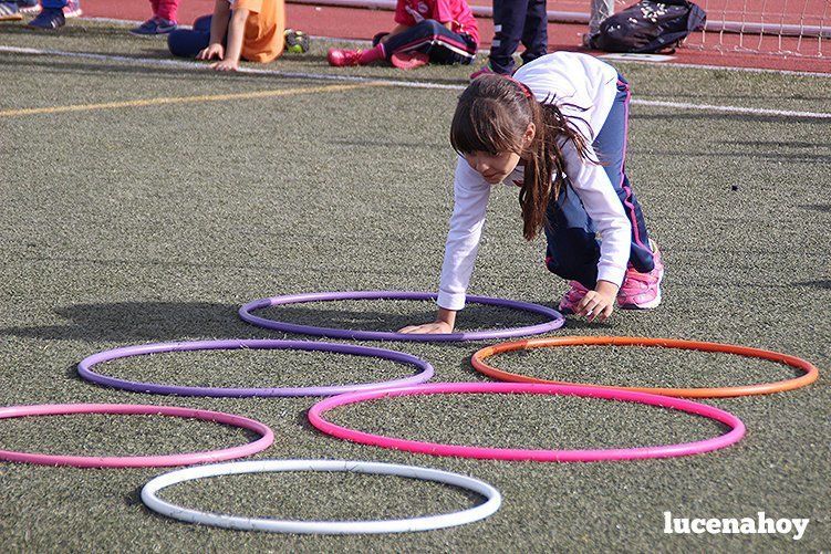 Casi 500 escolares celebran el Día del Niño en el Patronato Deportivo Municipal Casi 500 escolares celebran el Día del Niño en el Patronato Deportivo Municipal