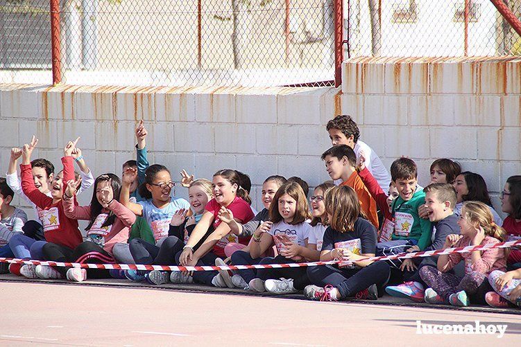 Galería: II Carrera "Estrella Solidaria": 650 niños y niñas corren contra el hambre en Lucena