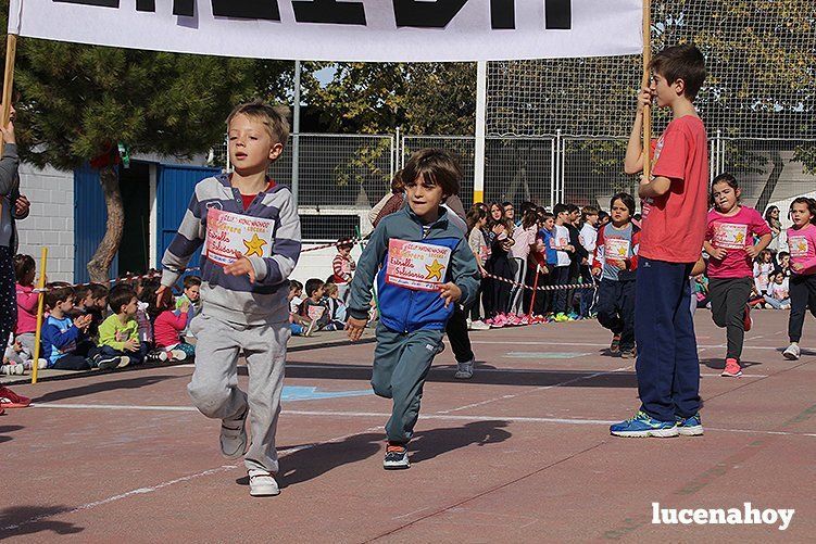 Galería: II Carrera "Estrella Solidaria": 650 niños y niñas corren contra el hambre en Lucena