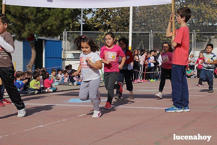 Galería: II Carrera "Estrella Solidaria": 650 niños y niñas corren contra el hambre en Lucena