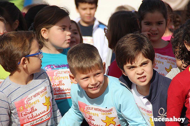 Galería: II Carrera "Estrella Solidaria": 650 niños y niñas corren contra el hambre en Lucena