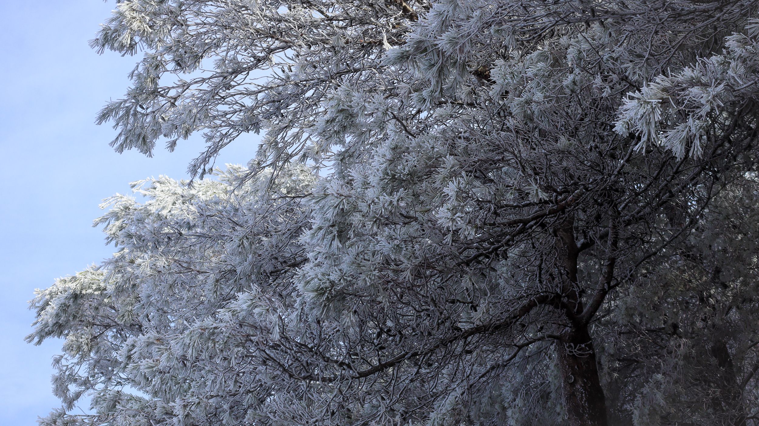 Nevada en la Sierra de Cabra 02