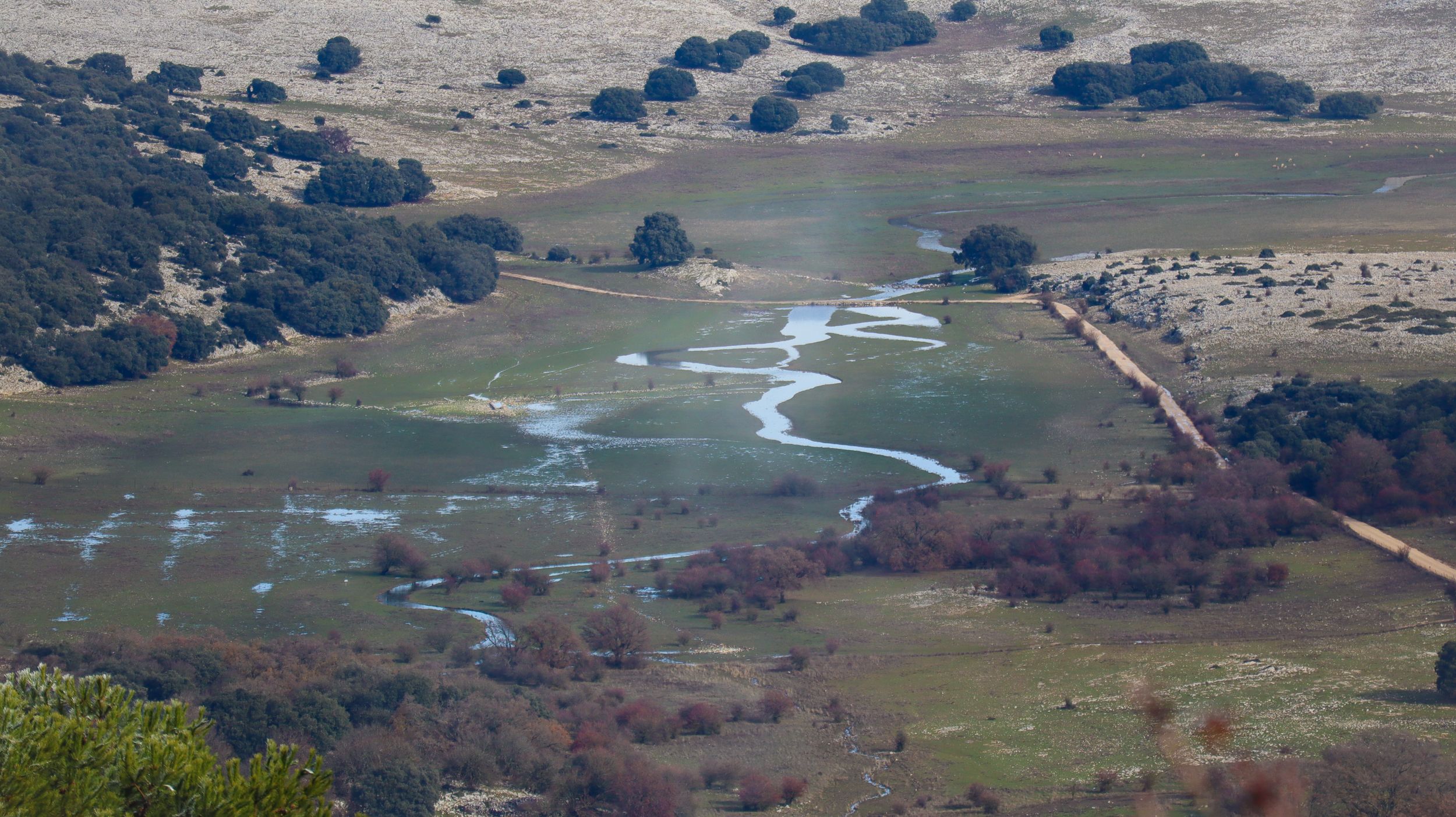Nevada en la Sierra de Cabra 10