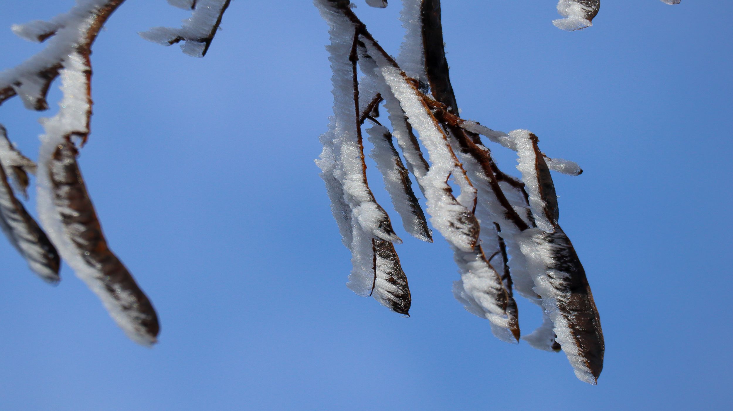 Nevada en la Sierra de Cabra 14