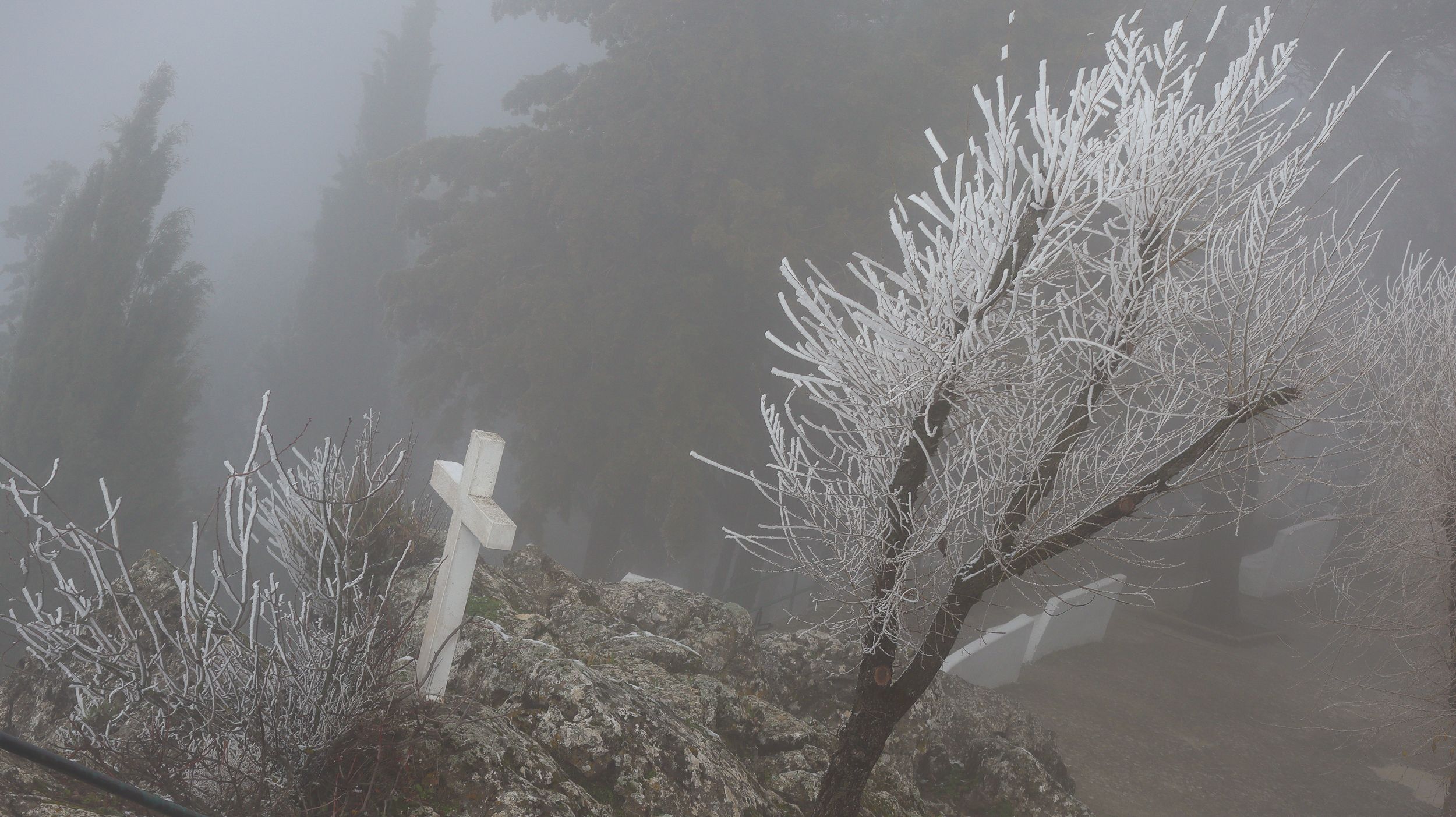 Nevada en la Sierra de Cabra 23