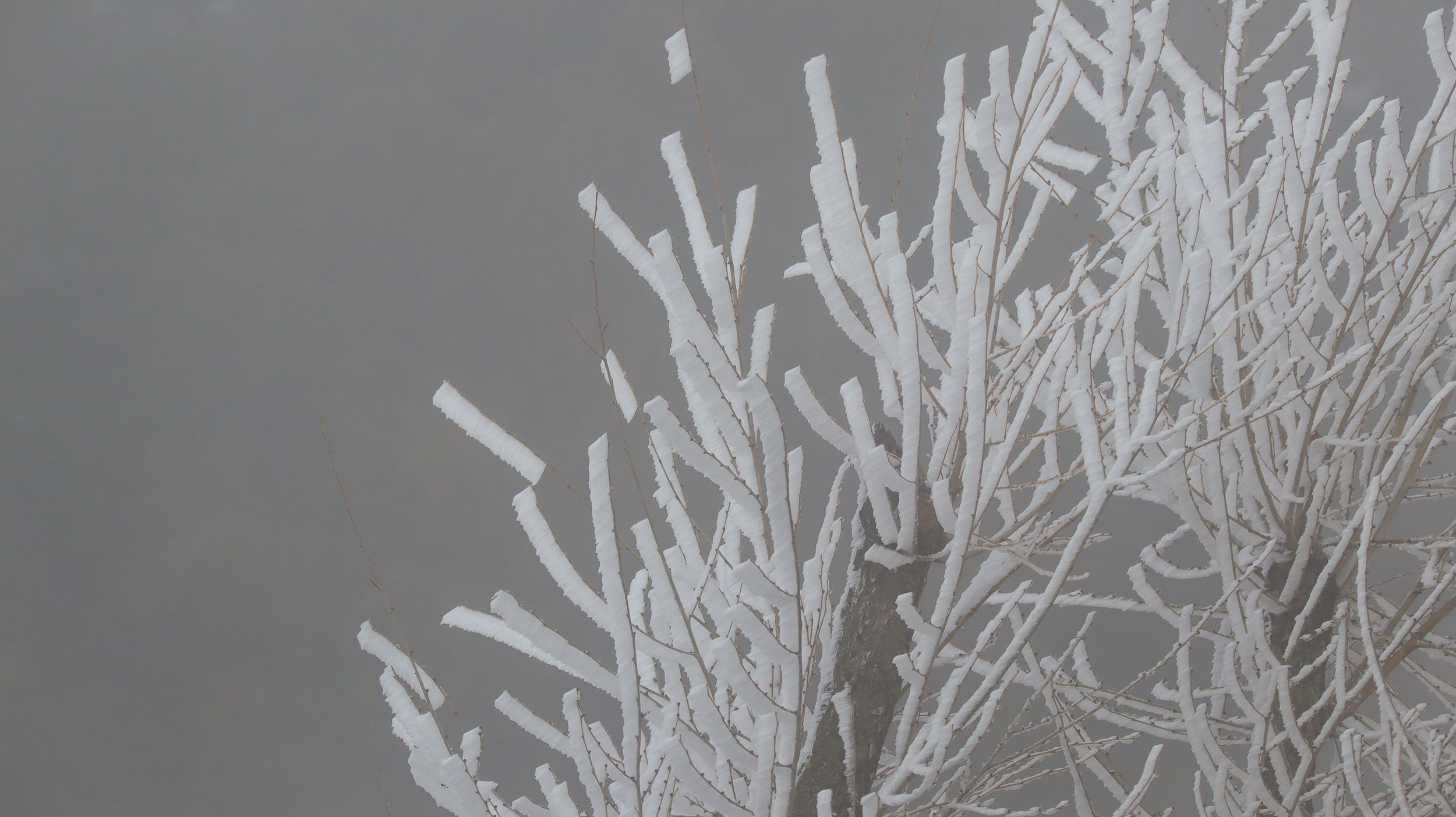 Nevada en la Sierra de Cabra 24