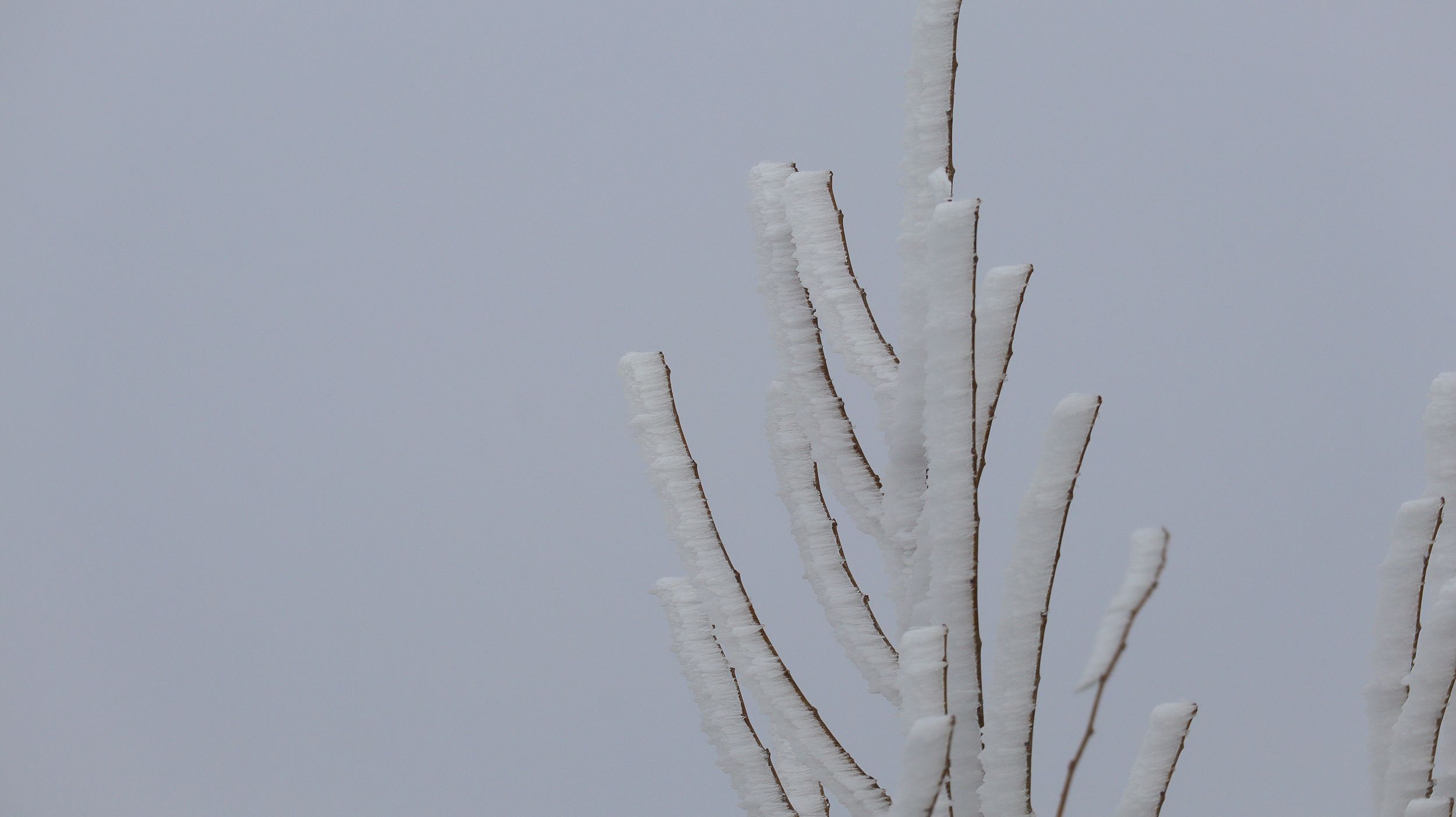 Nevada en la Sierra de Cabra 25