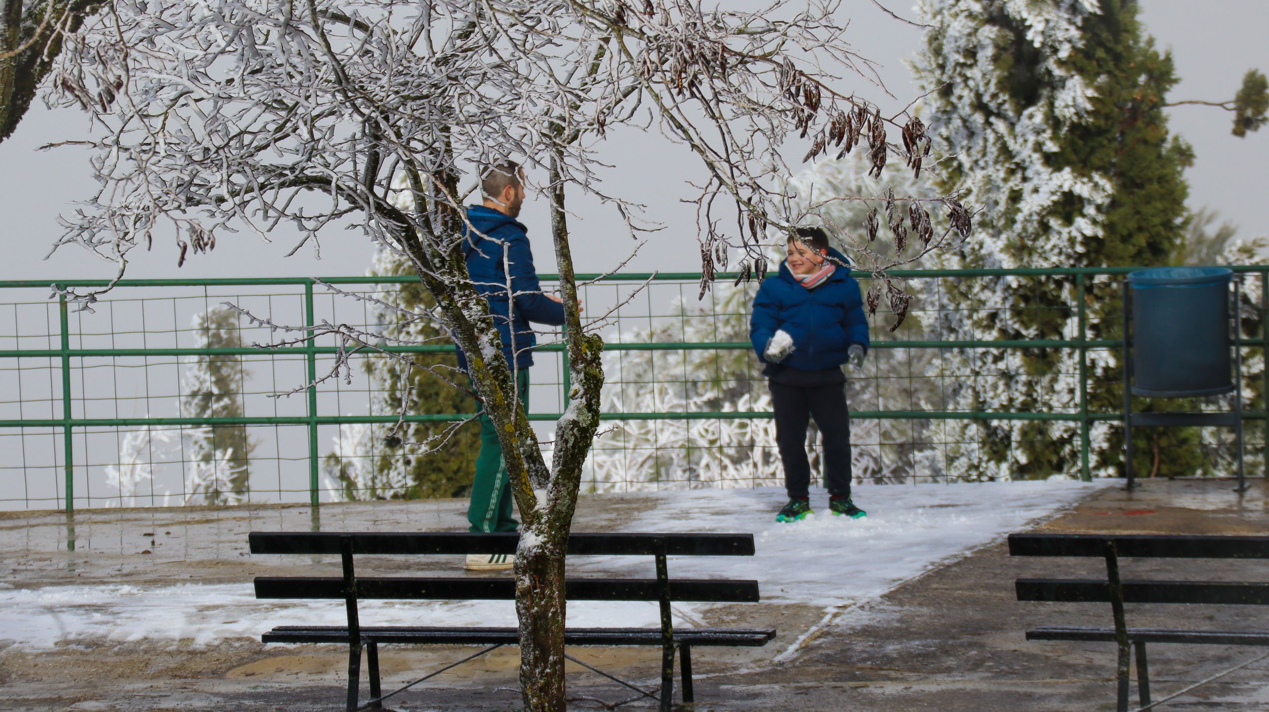 Nevada en la Sierra de Cabra 26