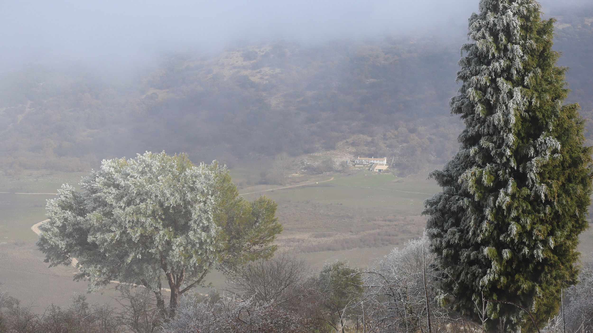 Nevada en la Sierra de Cabra 38