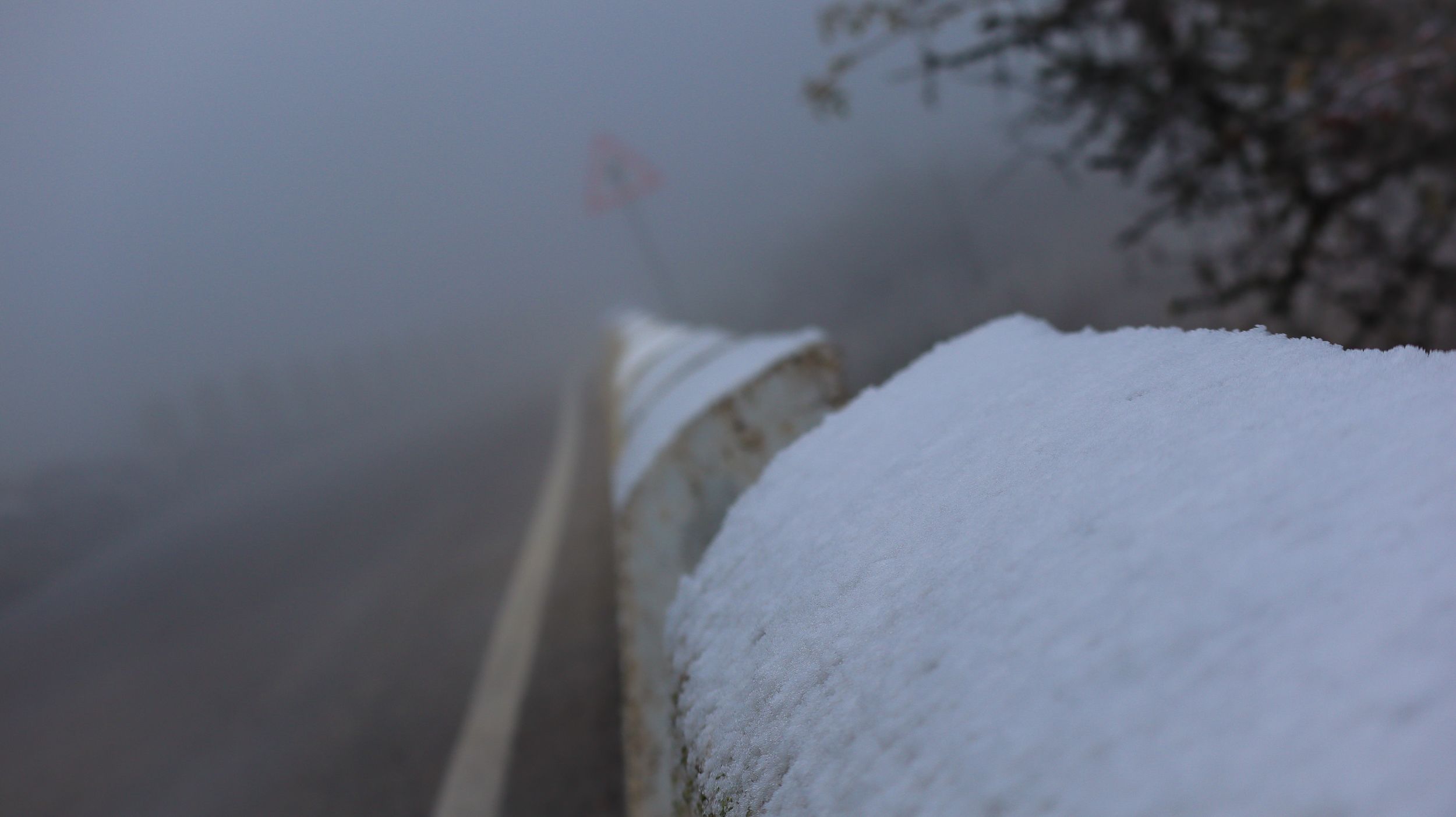 Nevada en la Sierra de Cabra 40