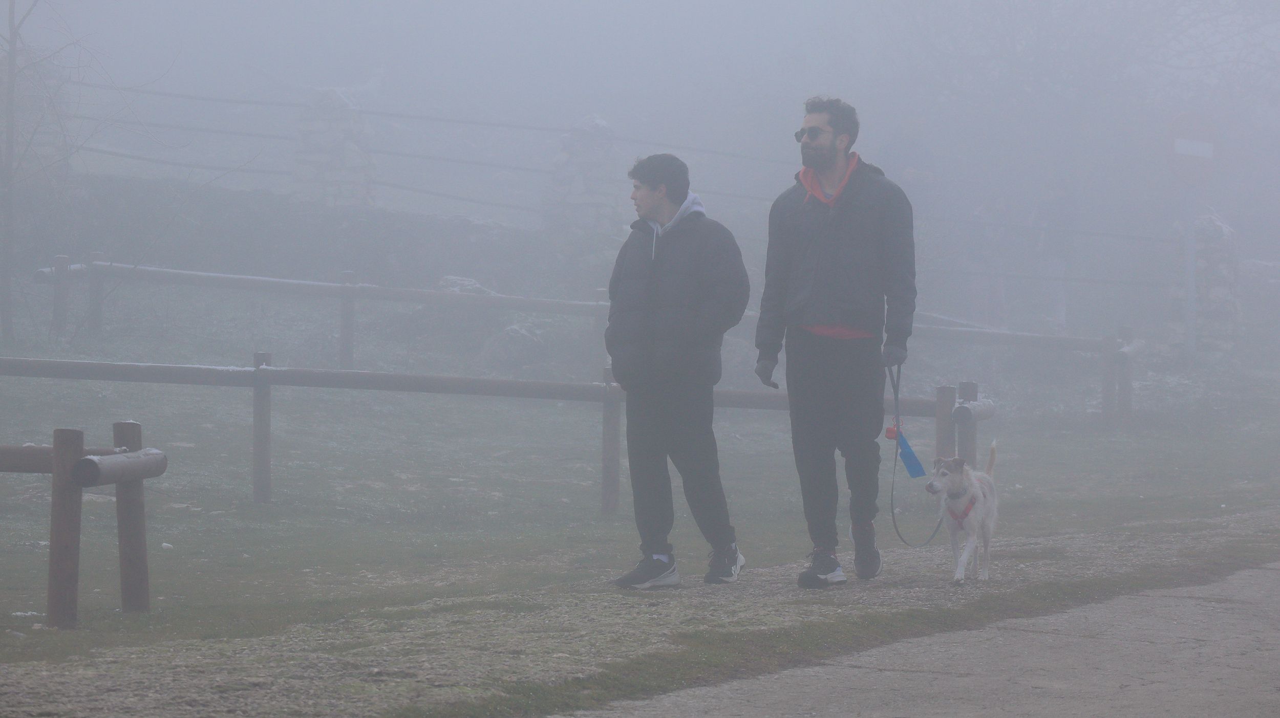 Nevada en la Sierra de Cabra 41