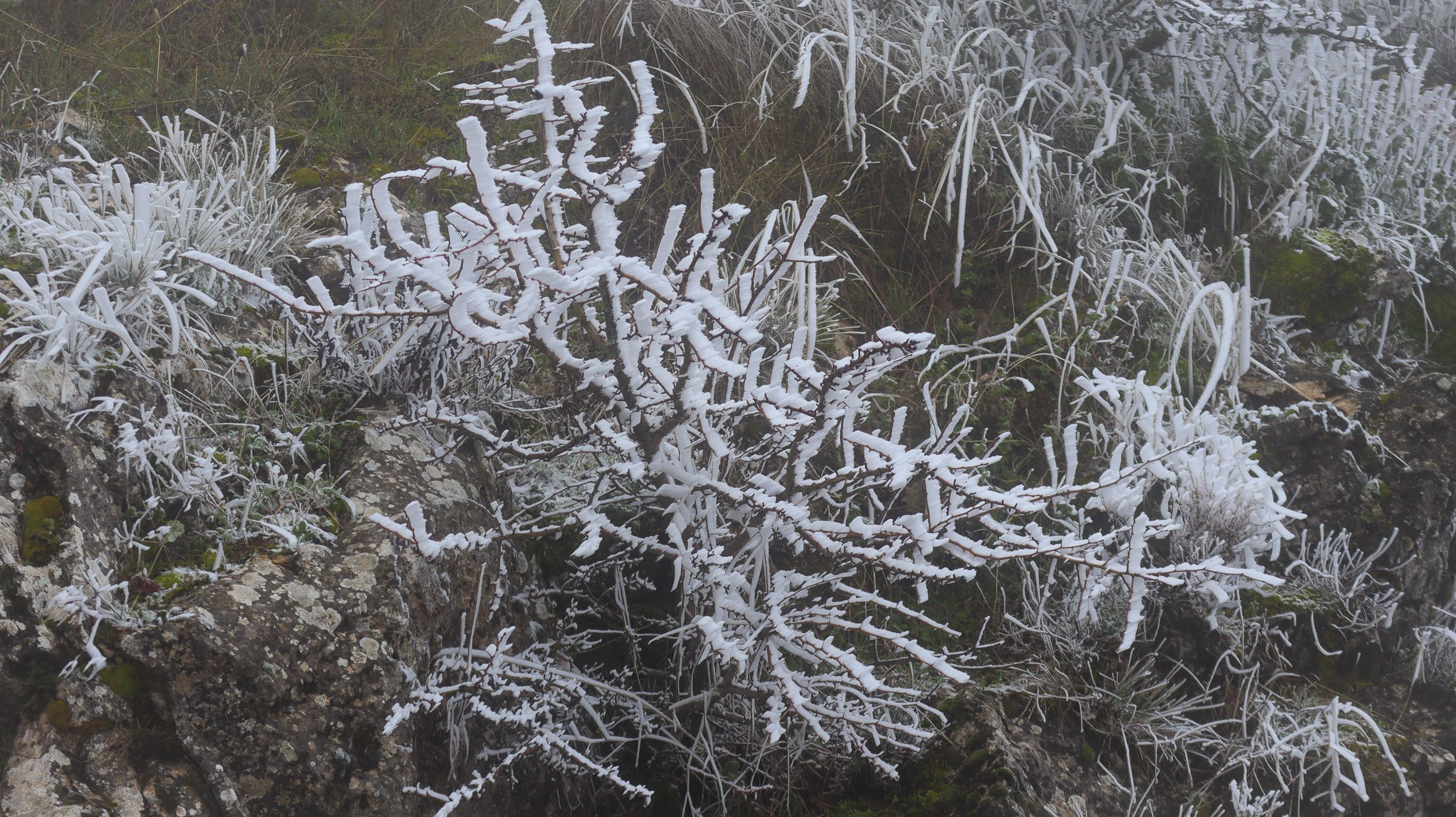 Nevada en la Sierra de Cabra 42