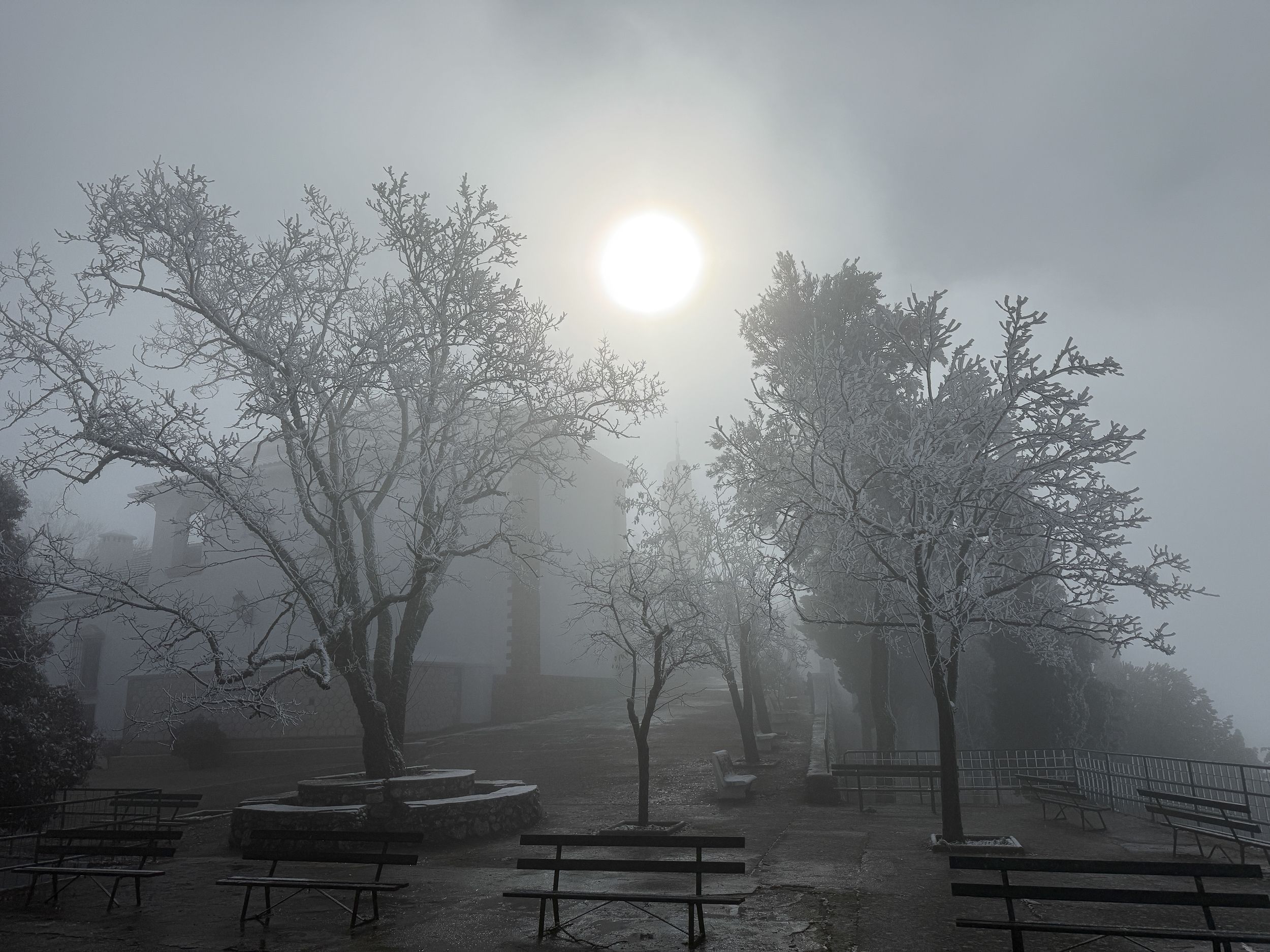 Nevada en la Sierra de Cabra 50