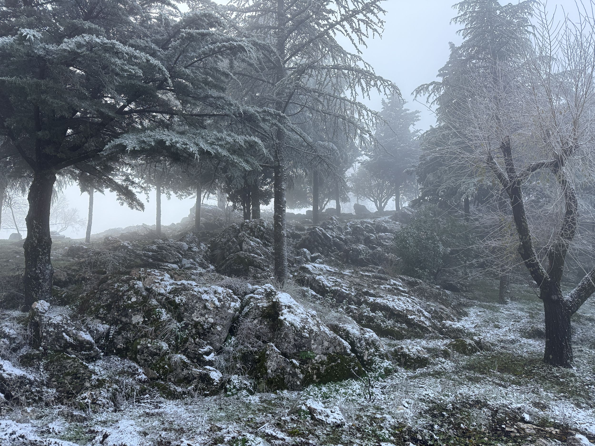 Nevada en la Sierra de Cabra 51