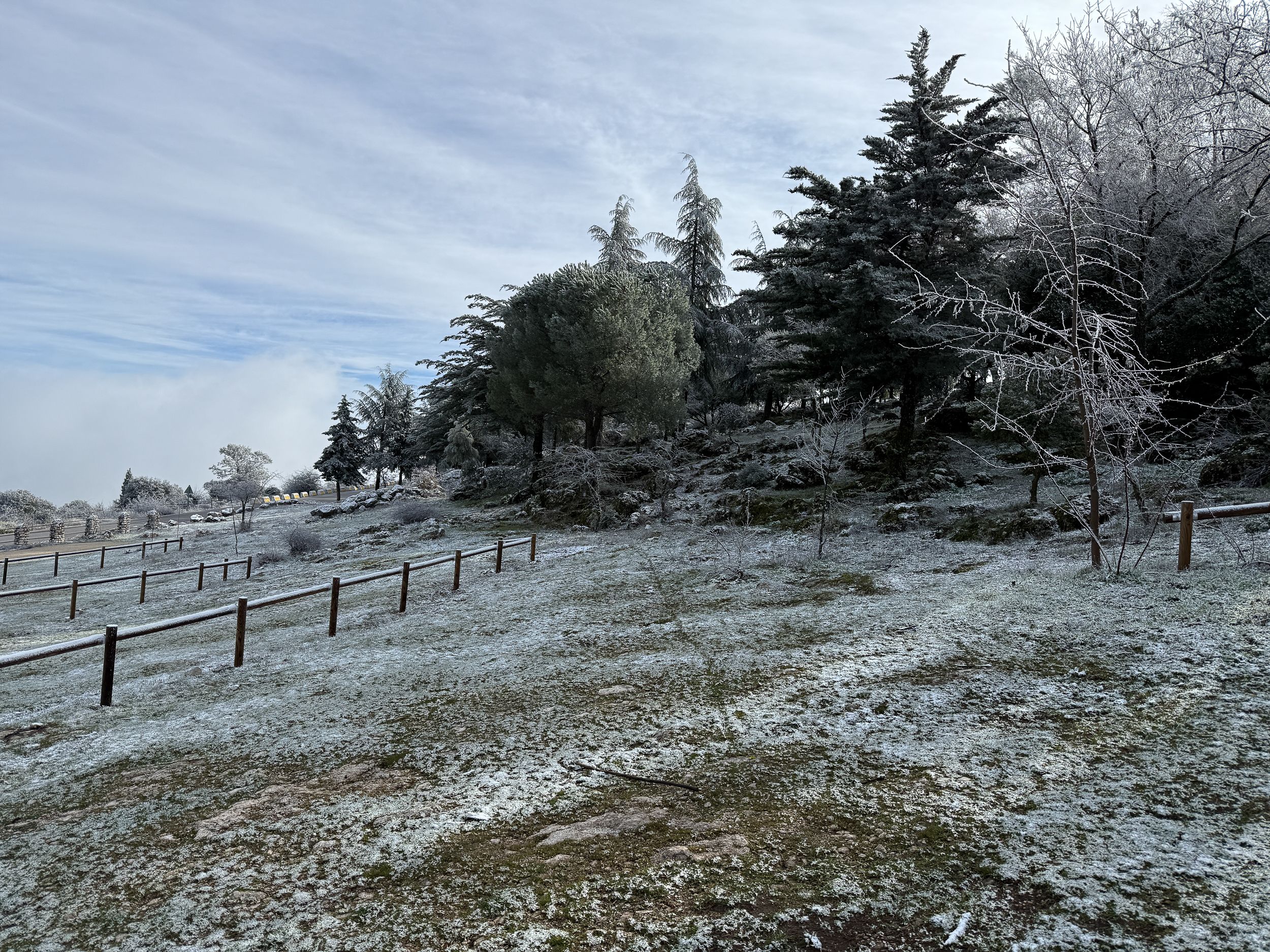 Nevada en la Sierra de Cabra 48