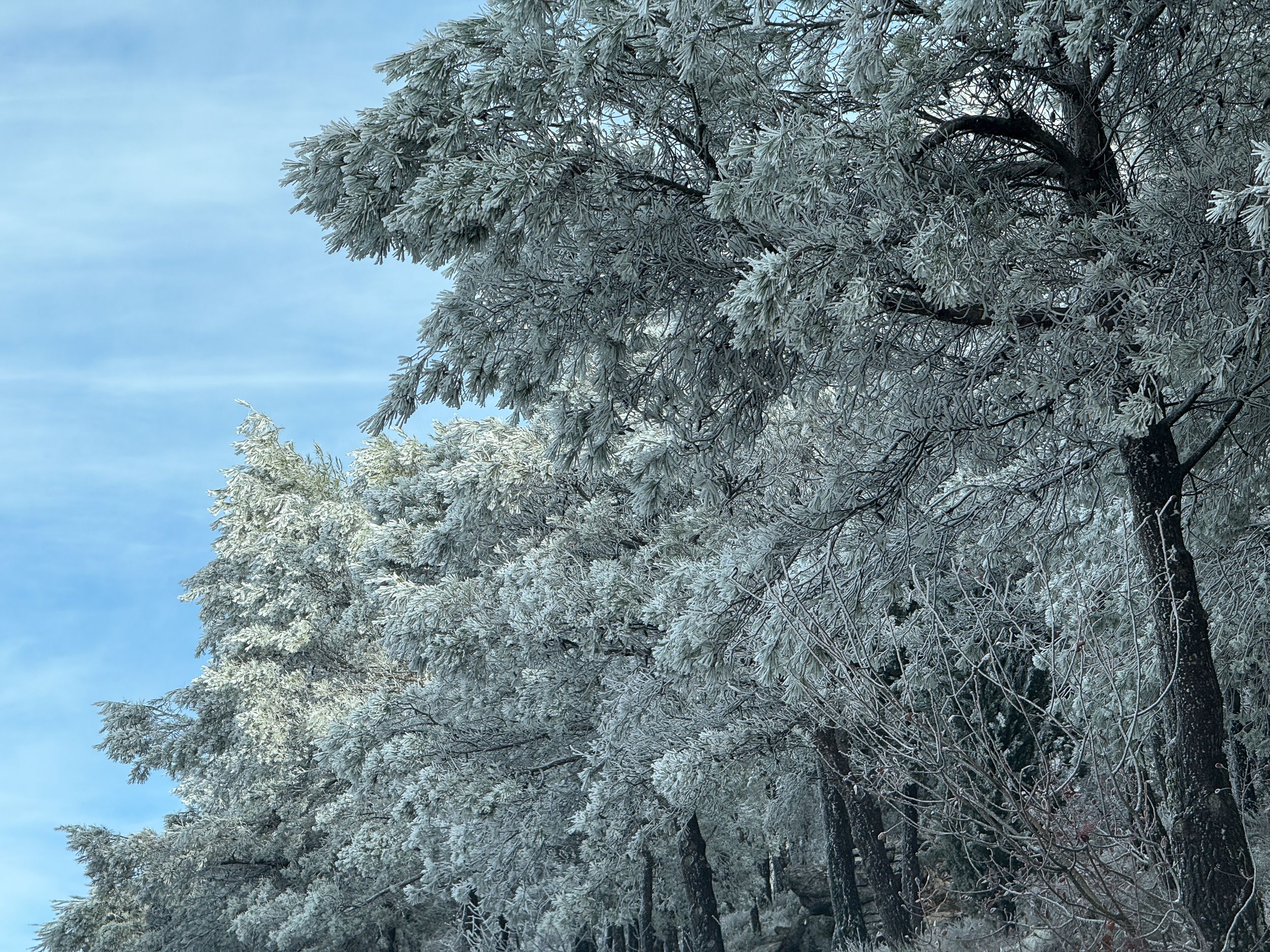 Nevada en la Sierra de Cabra 47