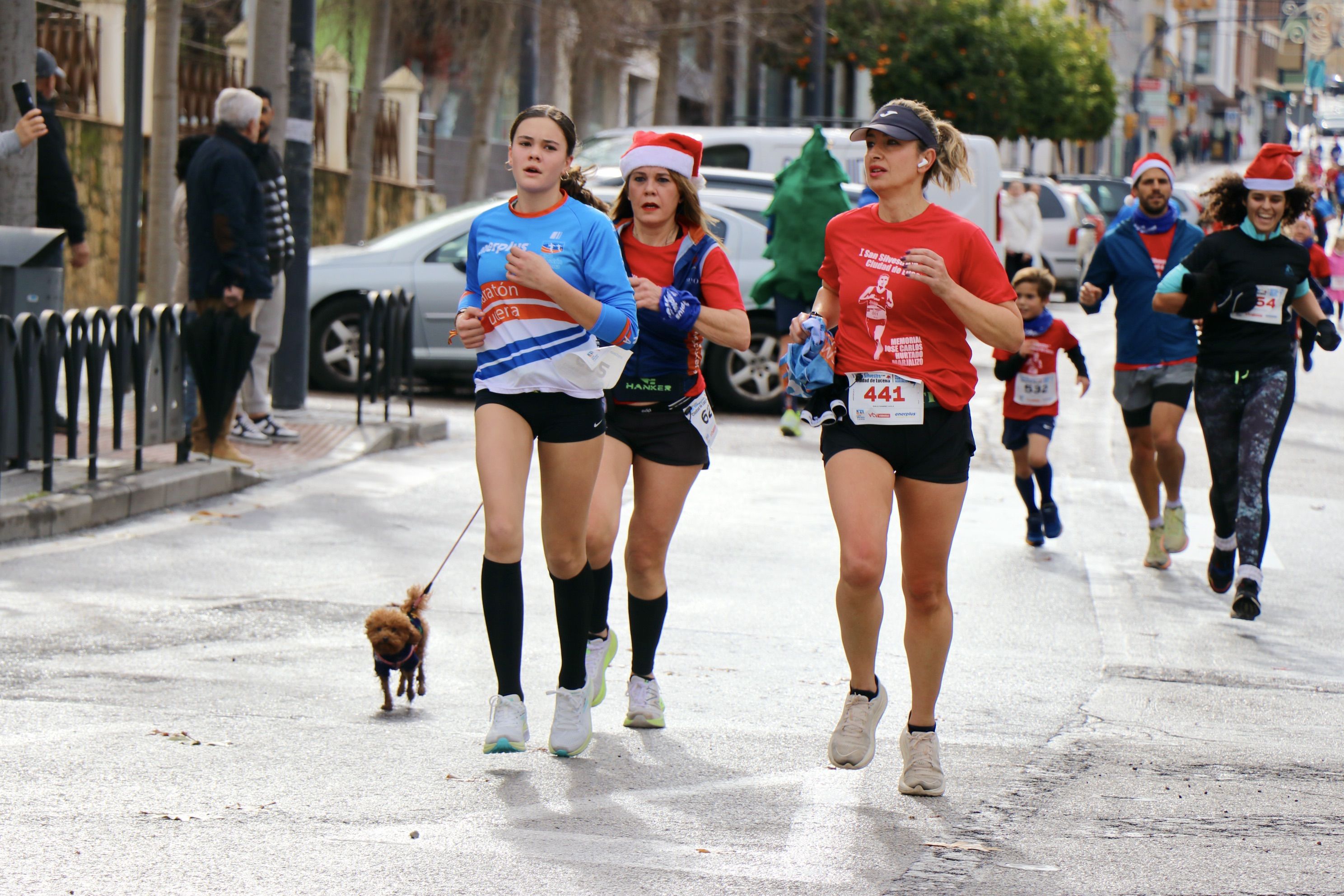 San Silvestre de Lucena