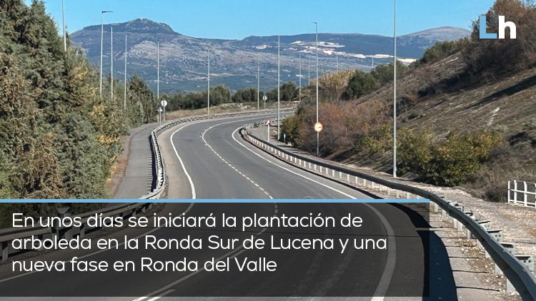 RONDA SUR