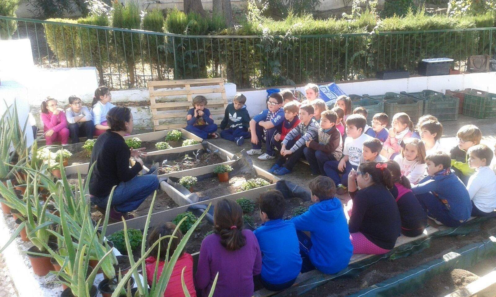 'Huertociónate', una experiencia destinada a parar la violencia y sembrar emociones en el Colegio Virgen de Araceli