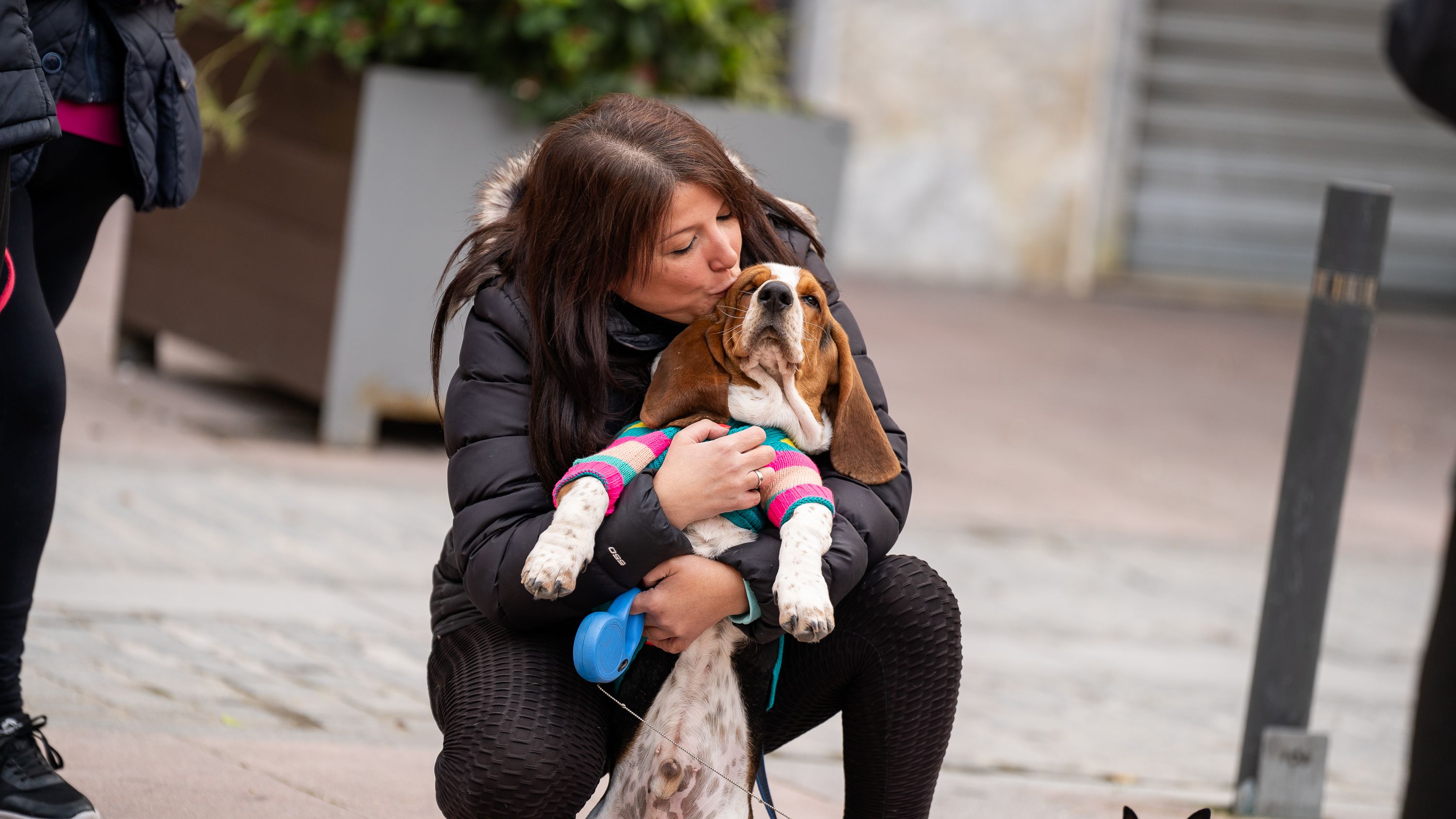 Bendición de los animales   San Antón 2026 (3)
