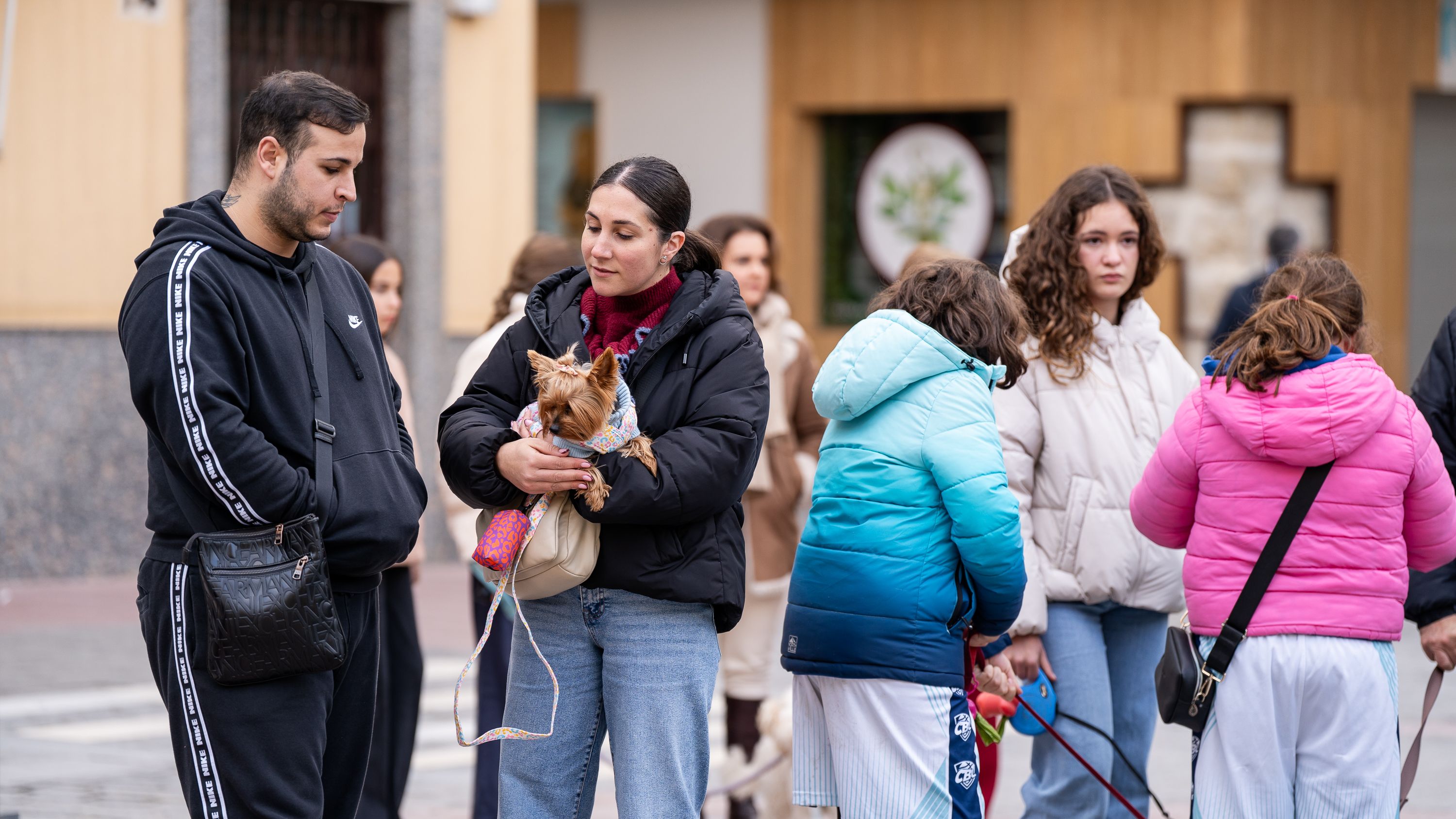 Bendición de los animales   San Antón 2026 (4)