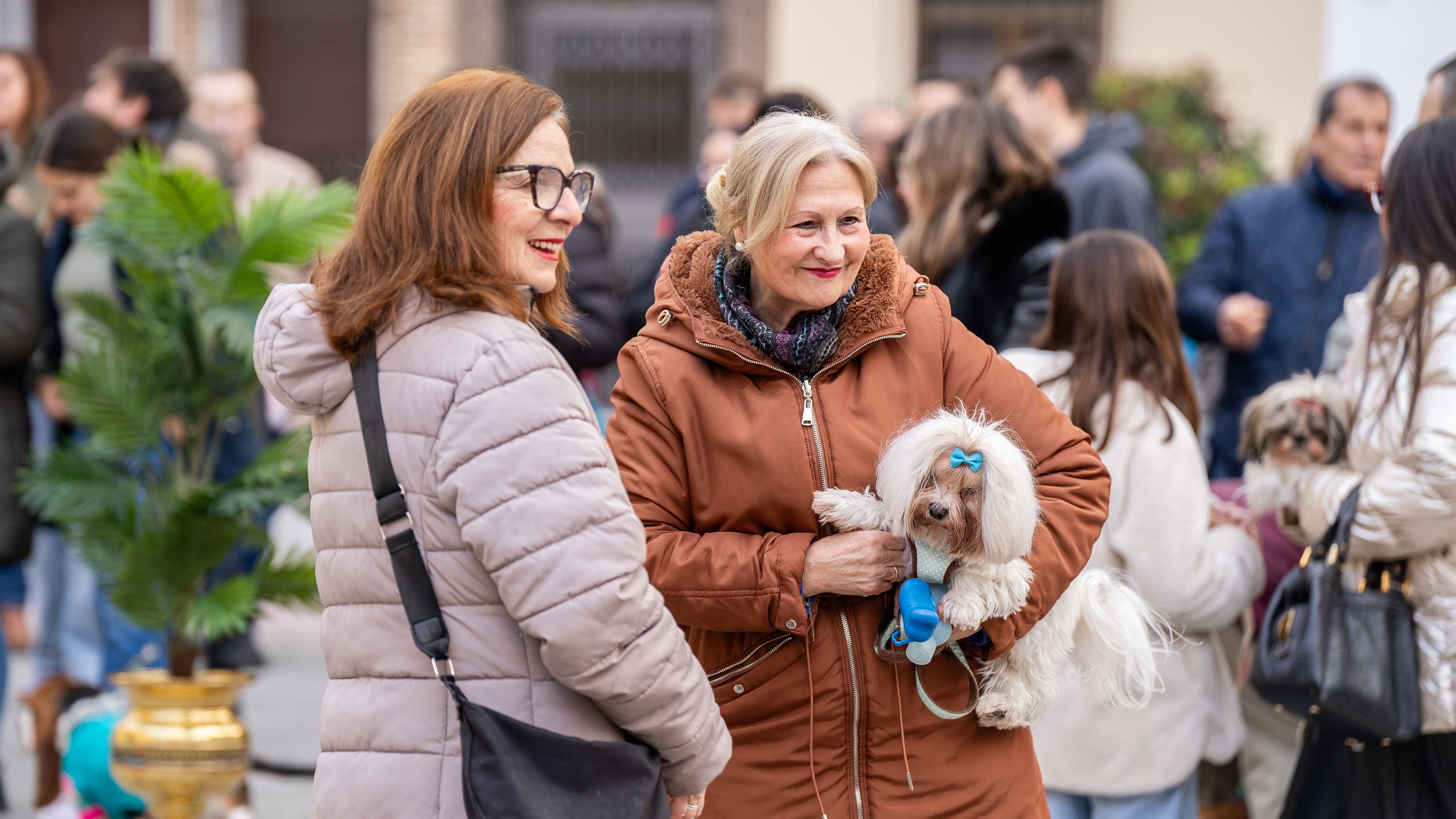 Bendición de los animales   San Antón 2026 (8)