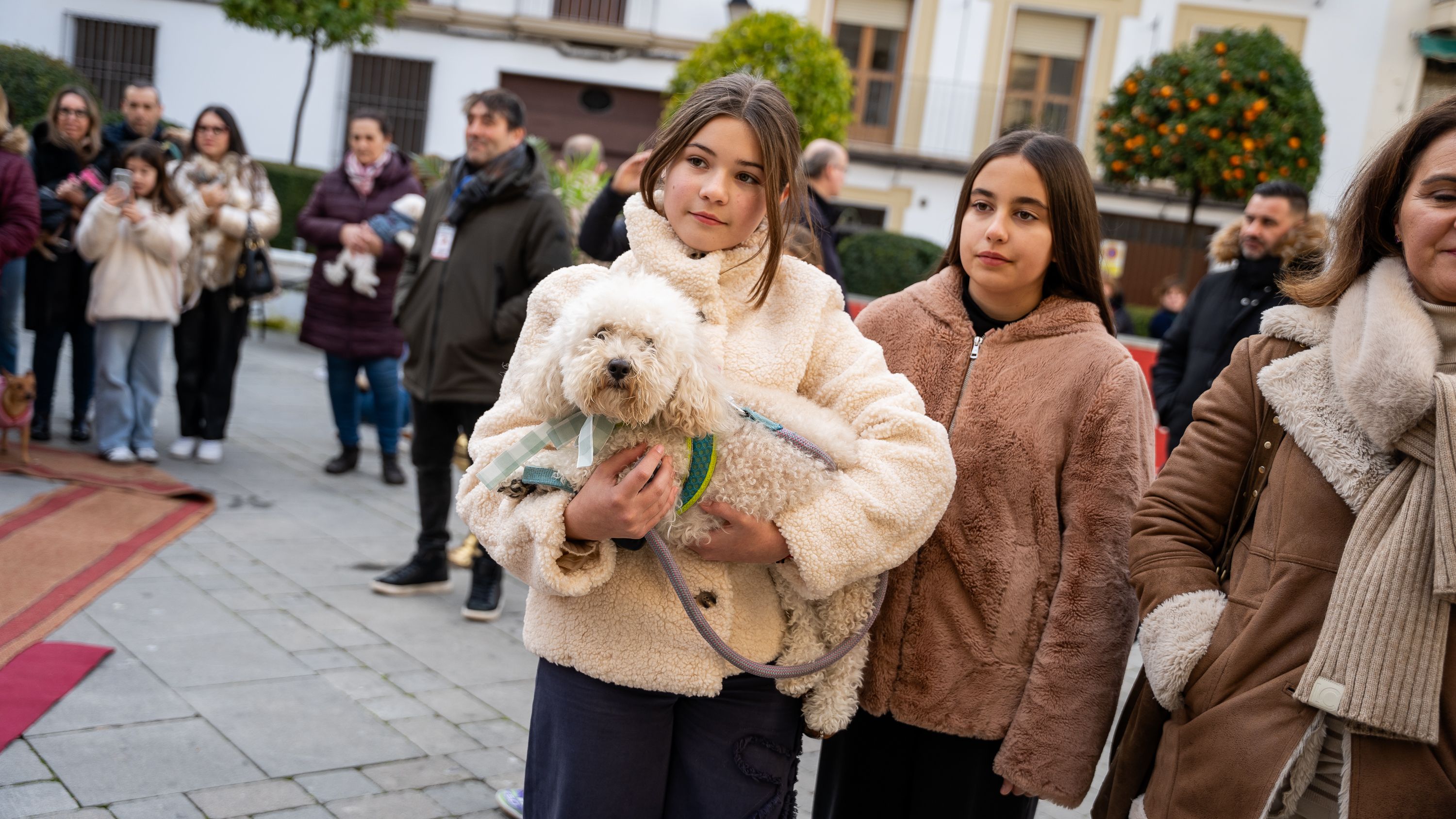 Bendición de los animales   San Antón 2026 (12)