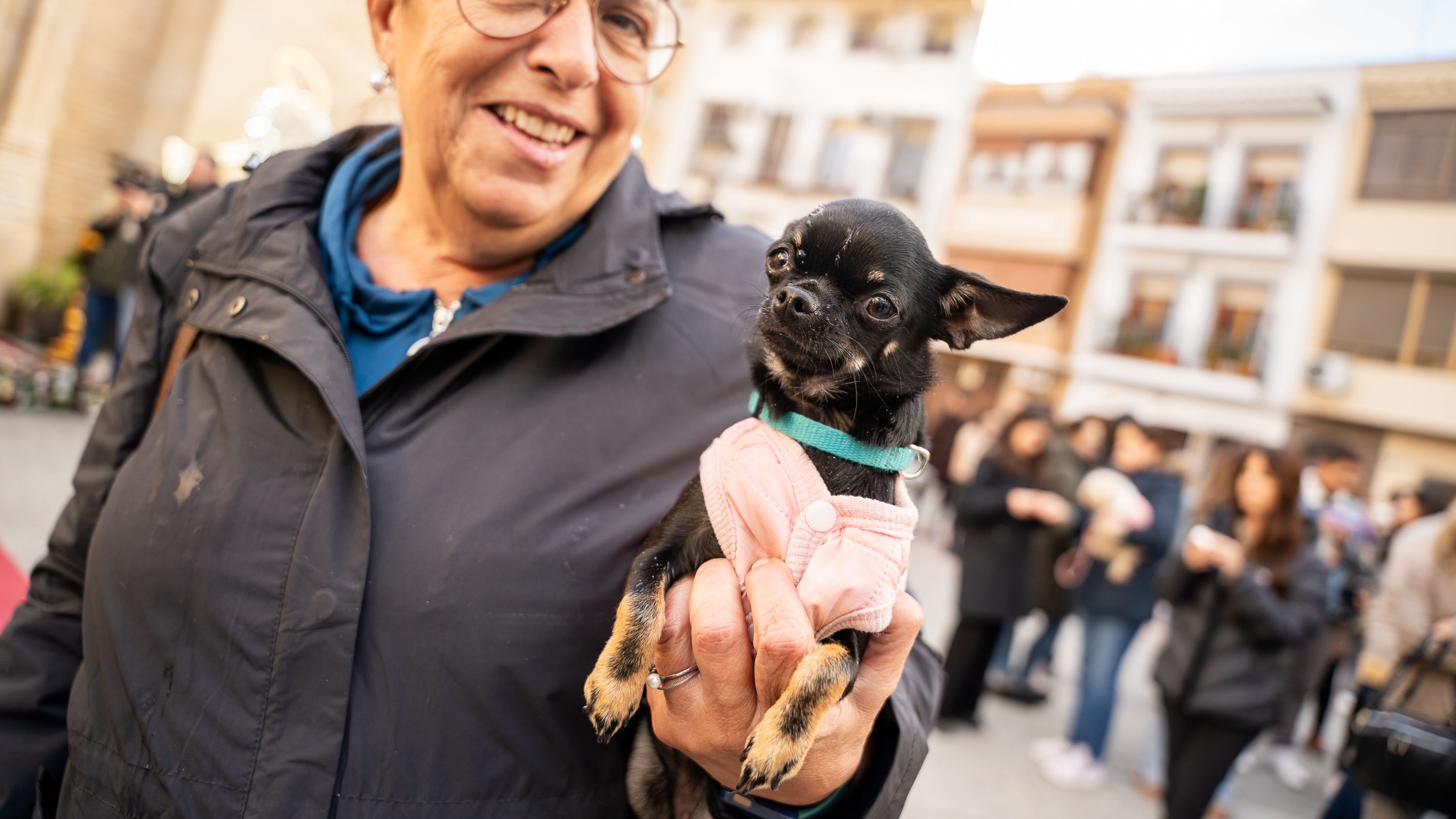 Bendición de los animales   San Antón 2026 (15)