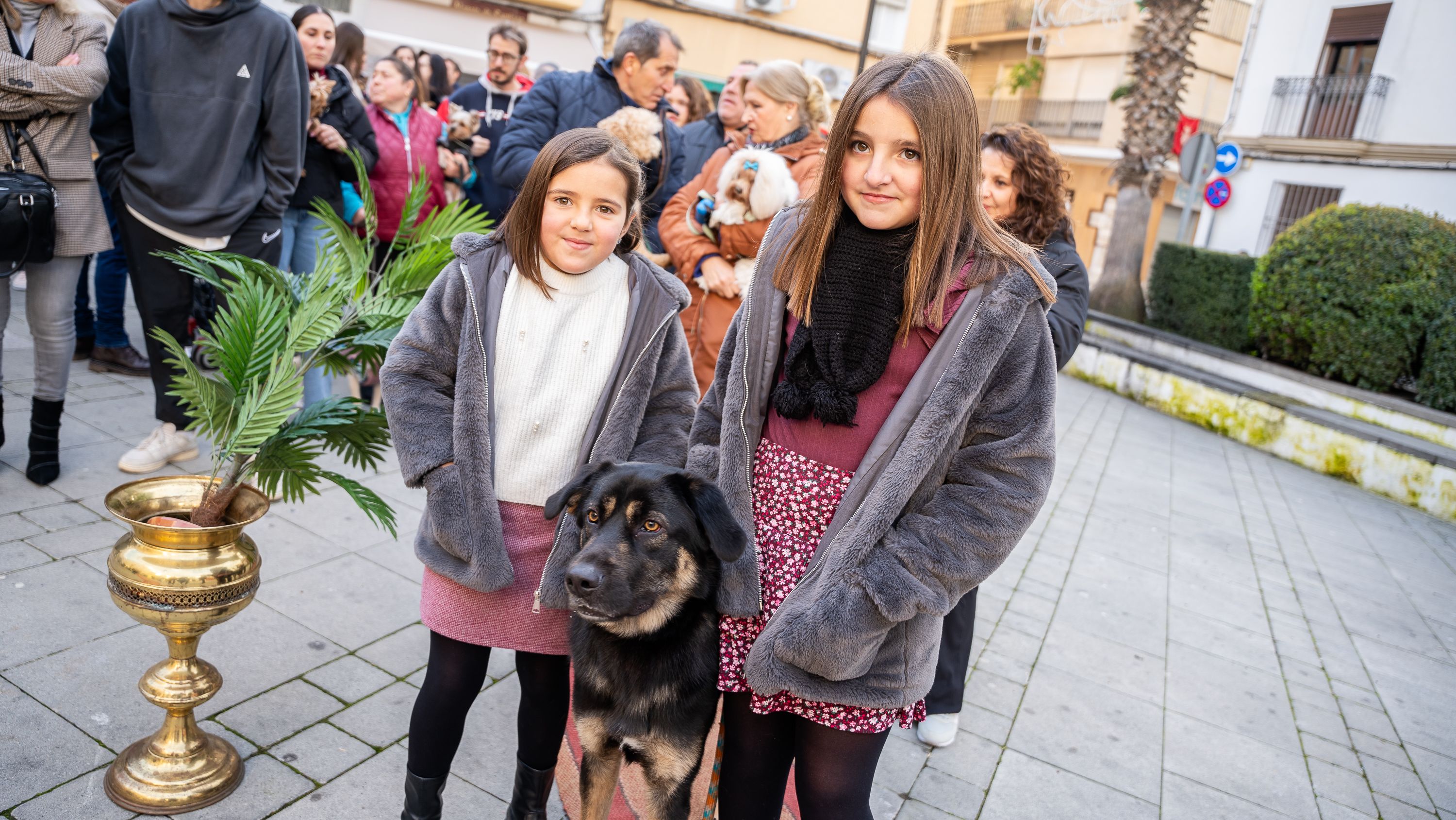 Bendición de los animales   San Antón 2026 (16)