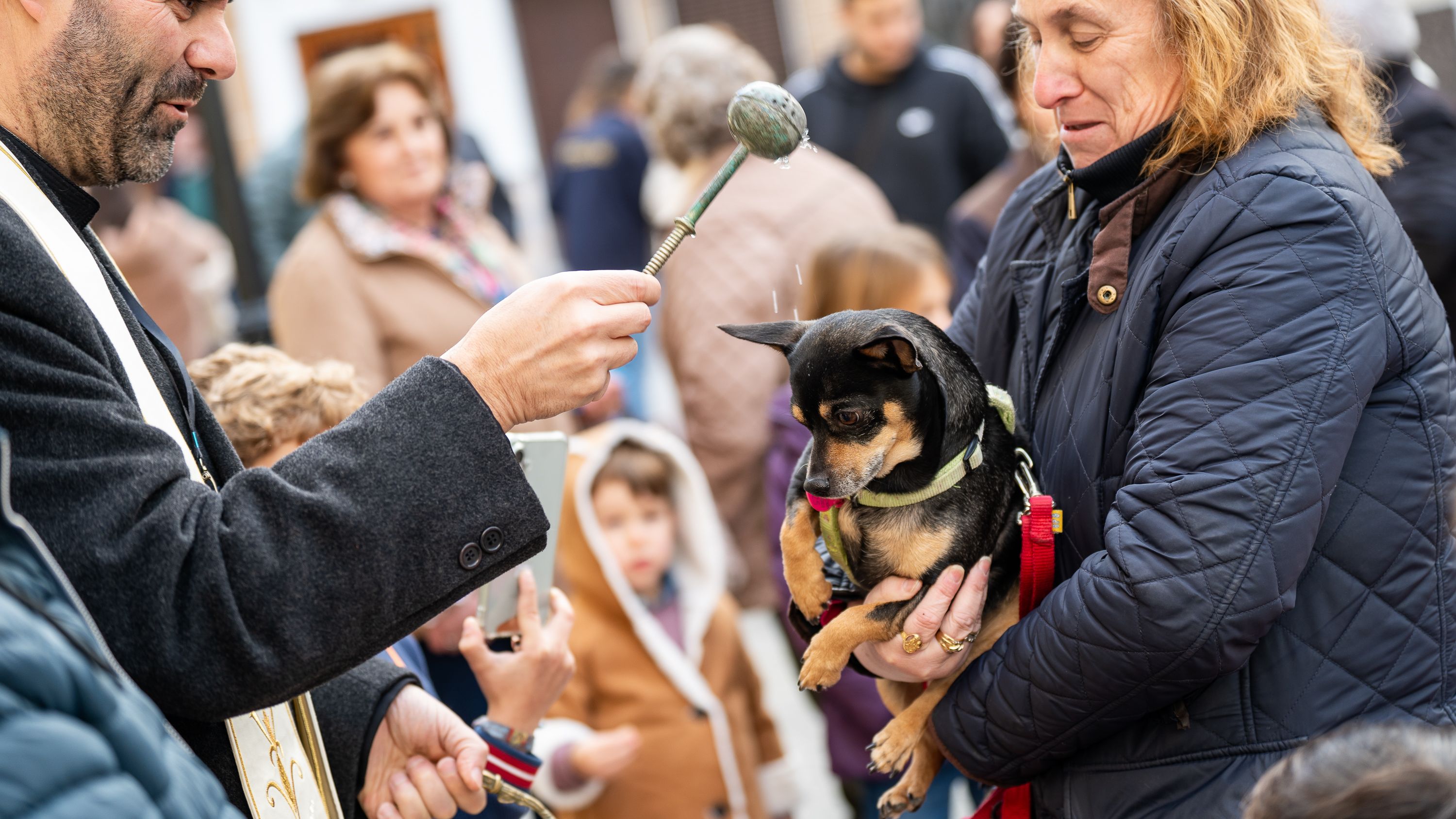 Bendición de los animales   San Antón 2026 (18)