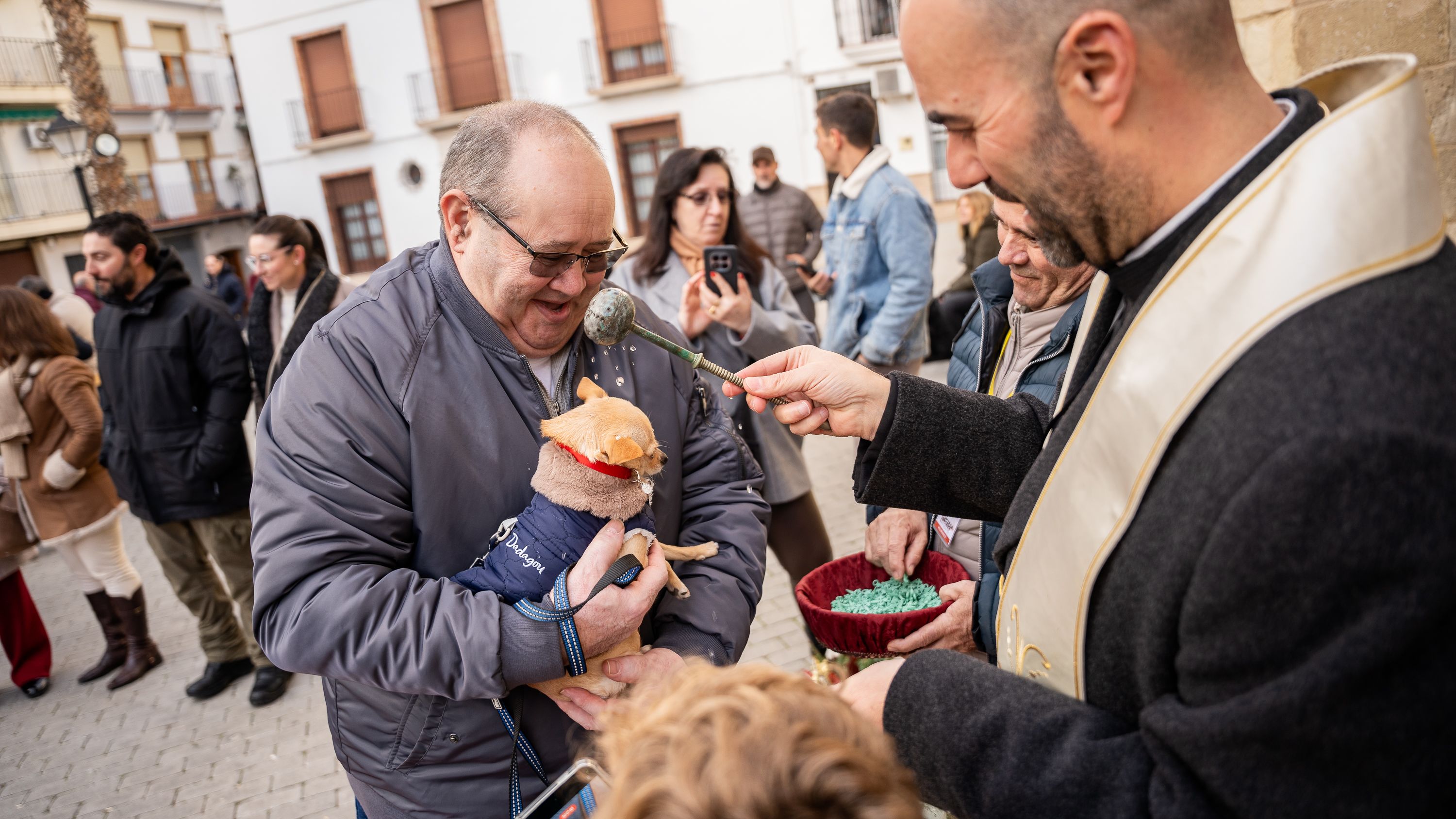 Bendición de los animales   San Antón 2026 (19)