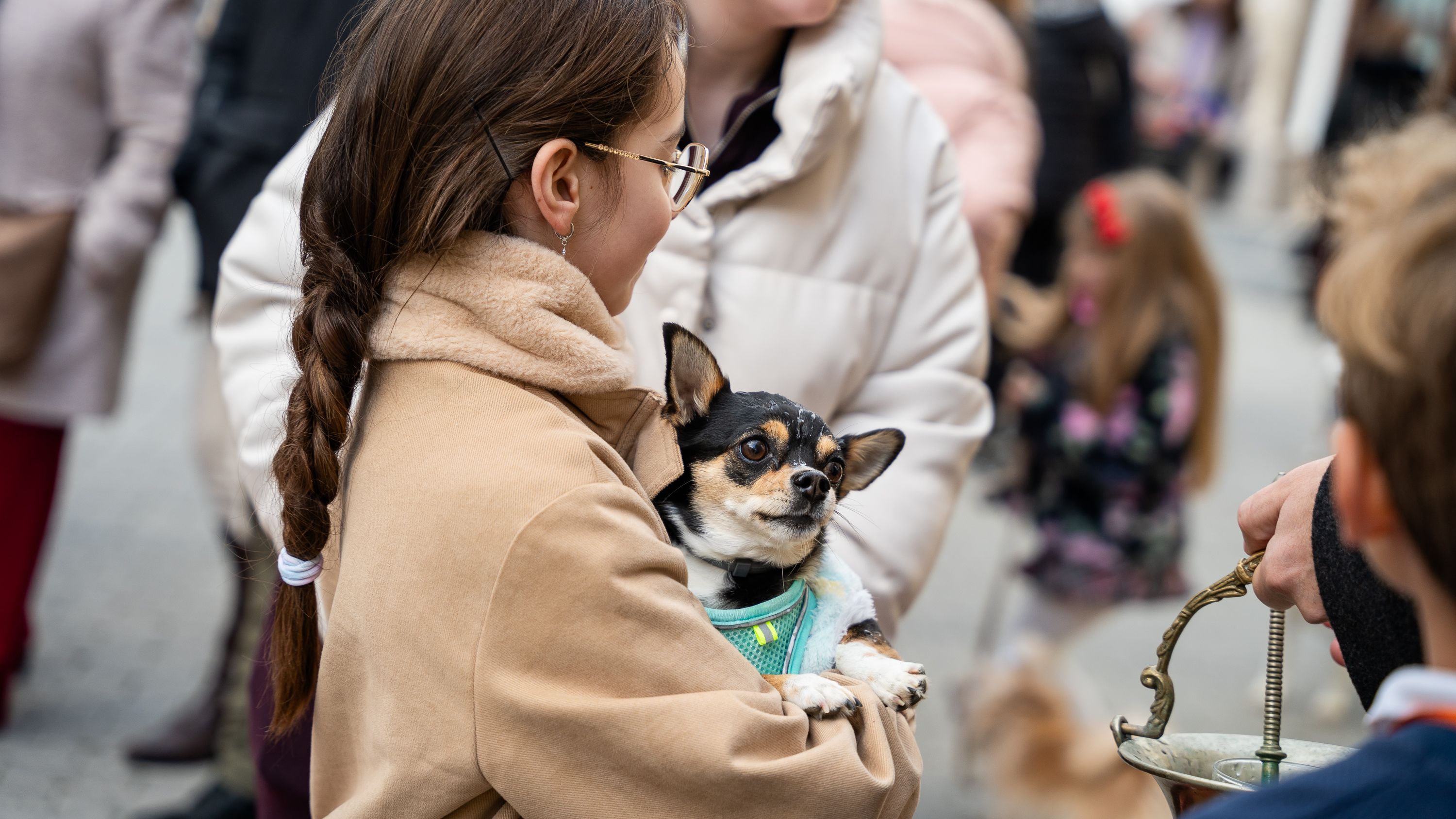 Bendición de los animales   San Antón 2026 (22)