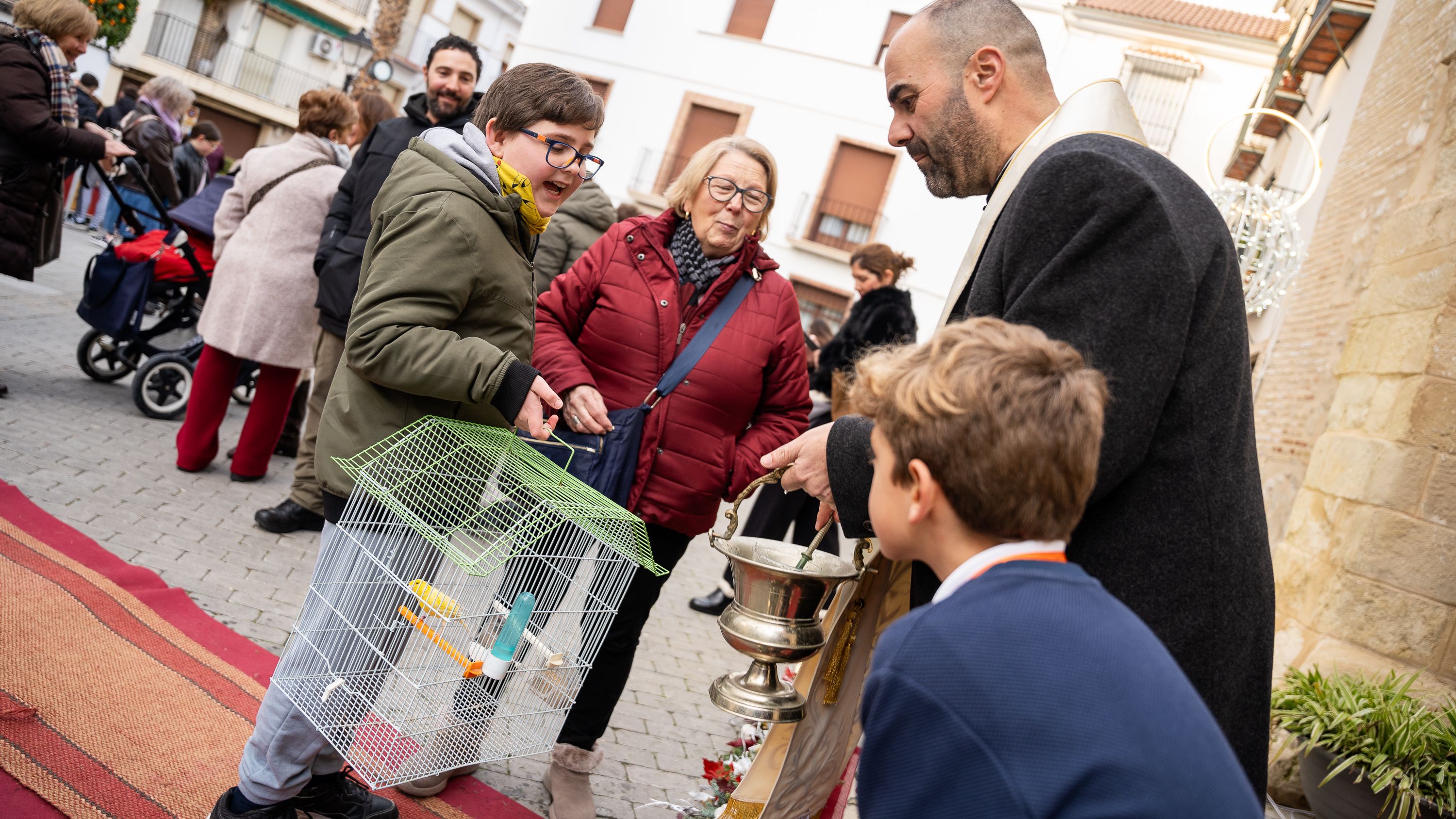 Bendición de los animales   San Antón 2026 (24)