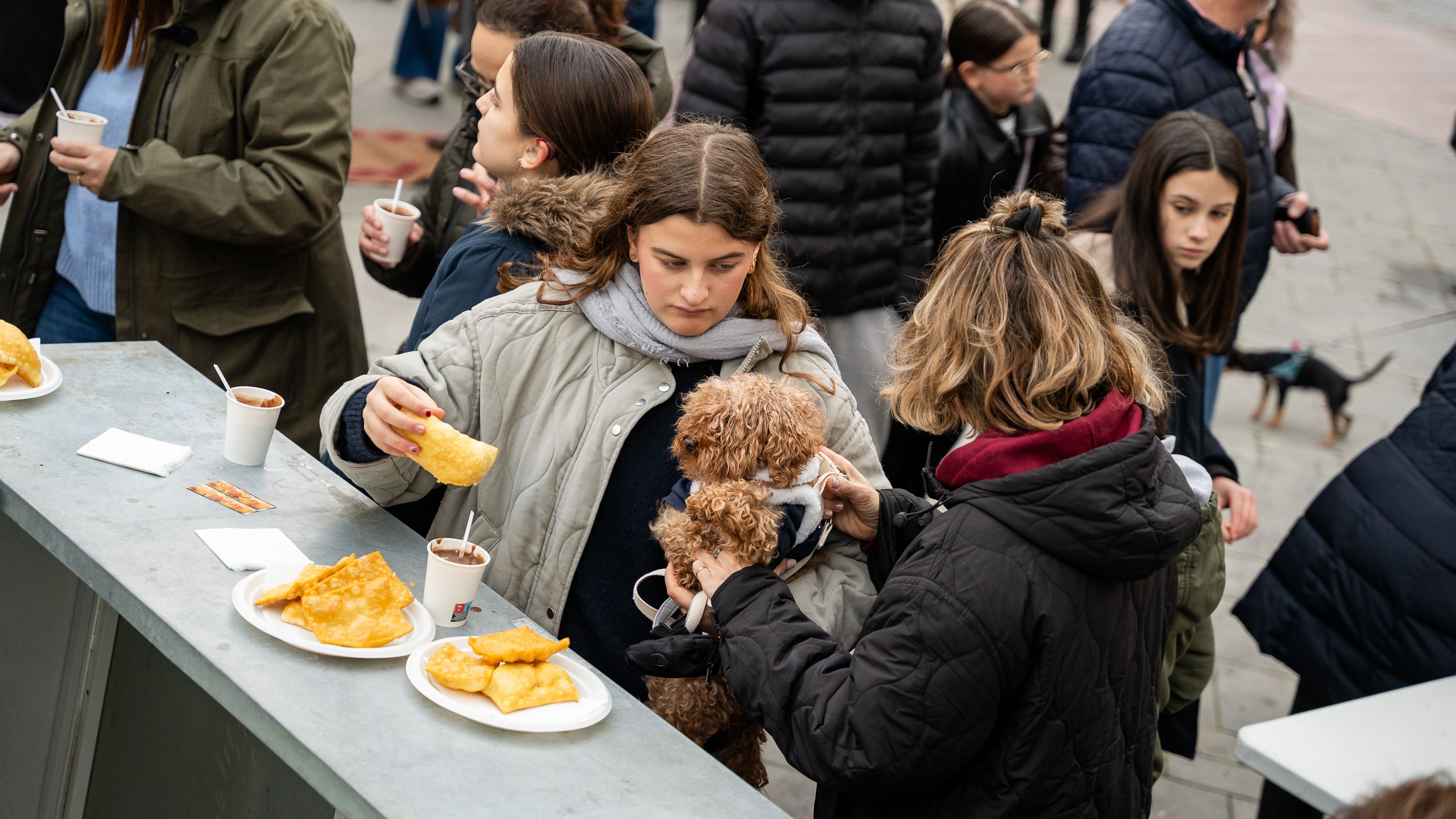 Bendición de los animales   San Antón 2026 (26)