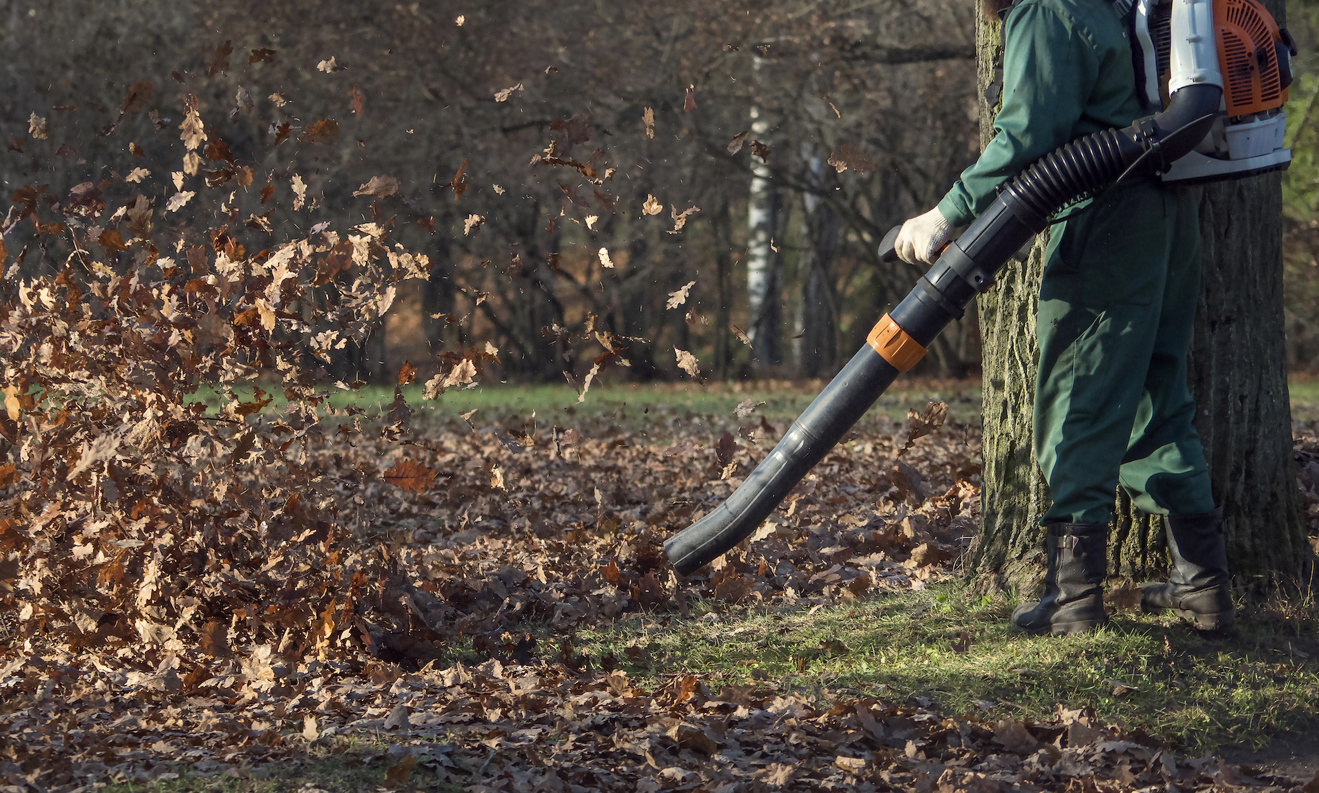 Ciudadanos pide la restricción en el uso de sopladoras. Foto: Freepik Ciudadanos pide la restricción en el uso de sopladoras. Foto: Freepik
