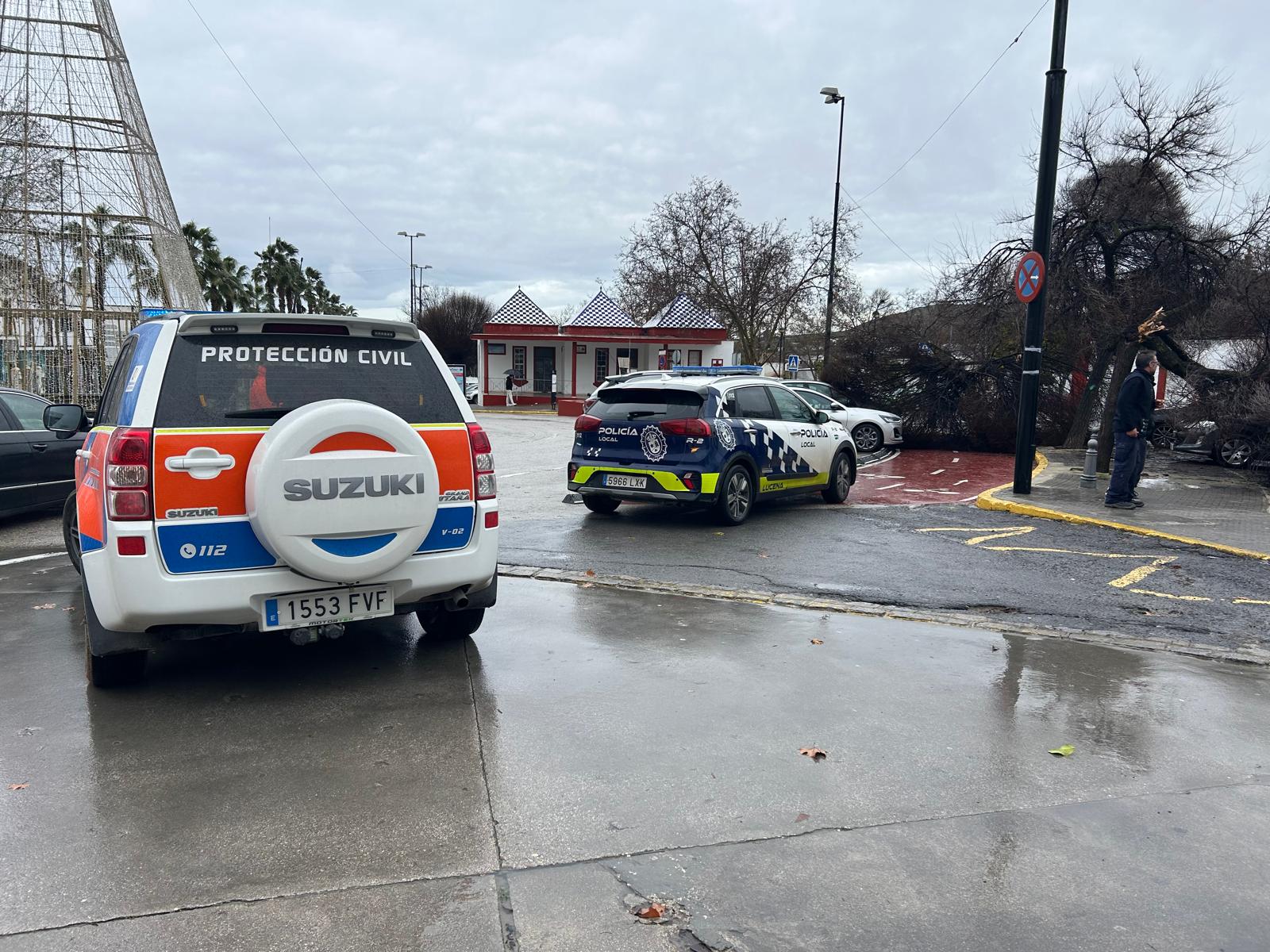 Policía local y Protección Civil trabajando en zonas afectadas