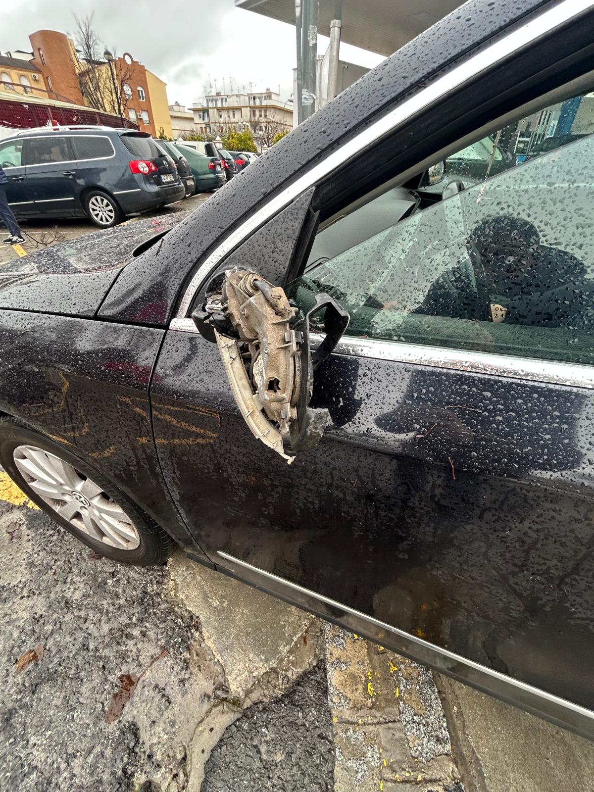Caída de árbol sobre vehículos estacionados junto a la Caseta Municipal3