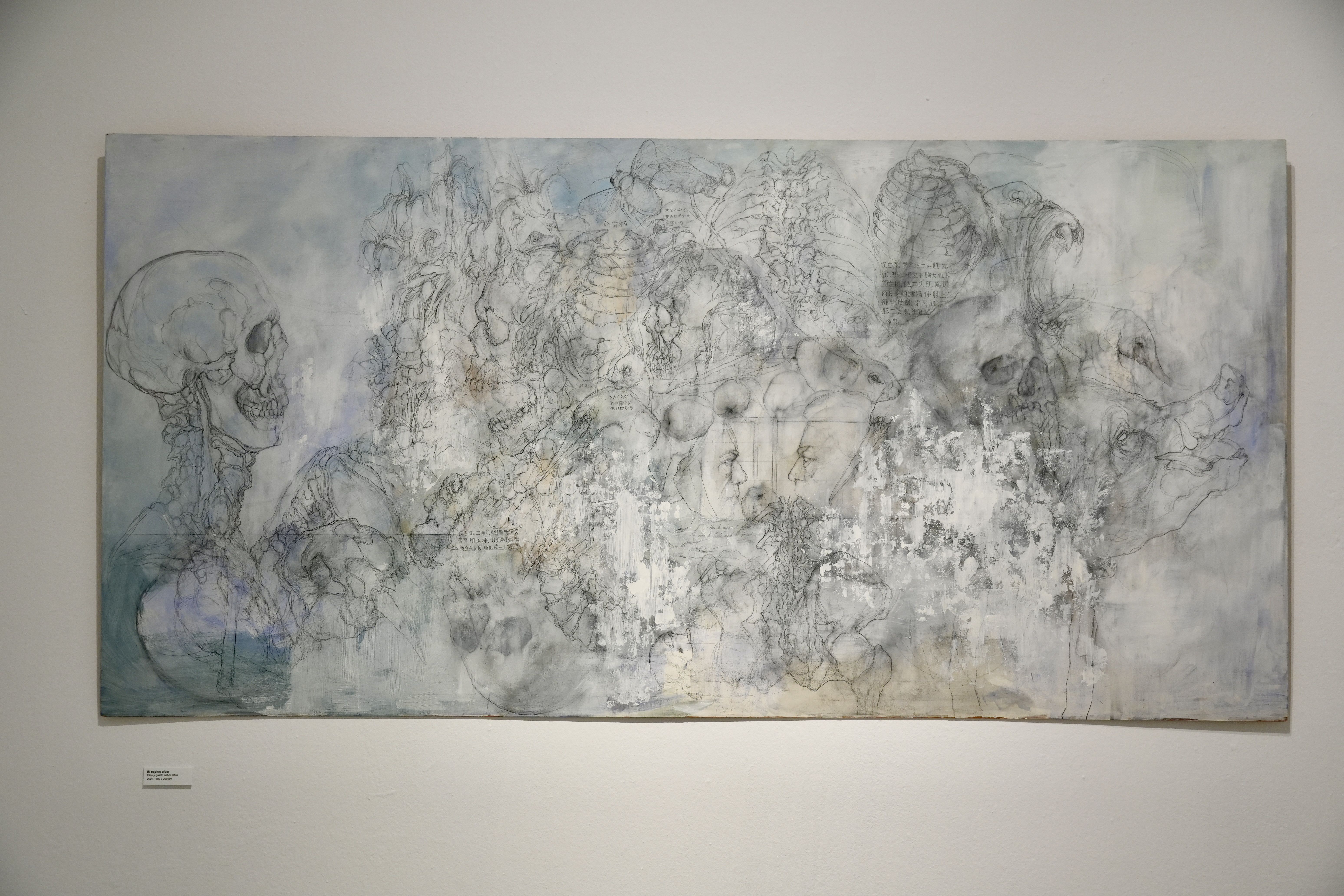 Presentación de la exposición de Irene Hernández “El Ludibrio” en la Sala Azul