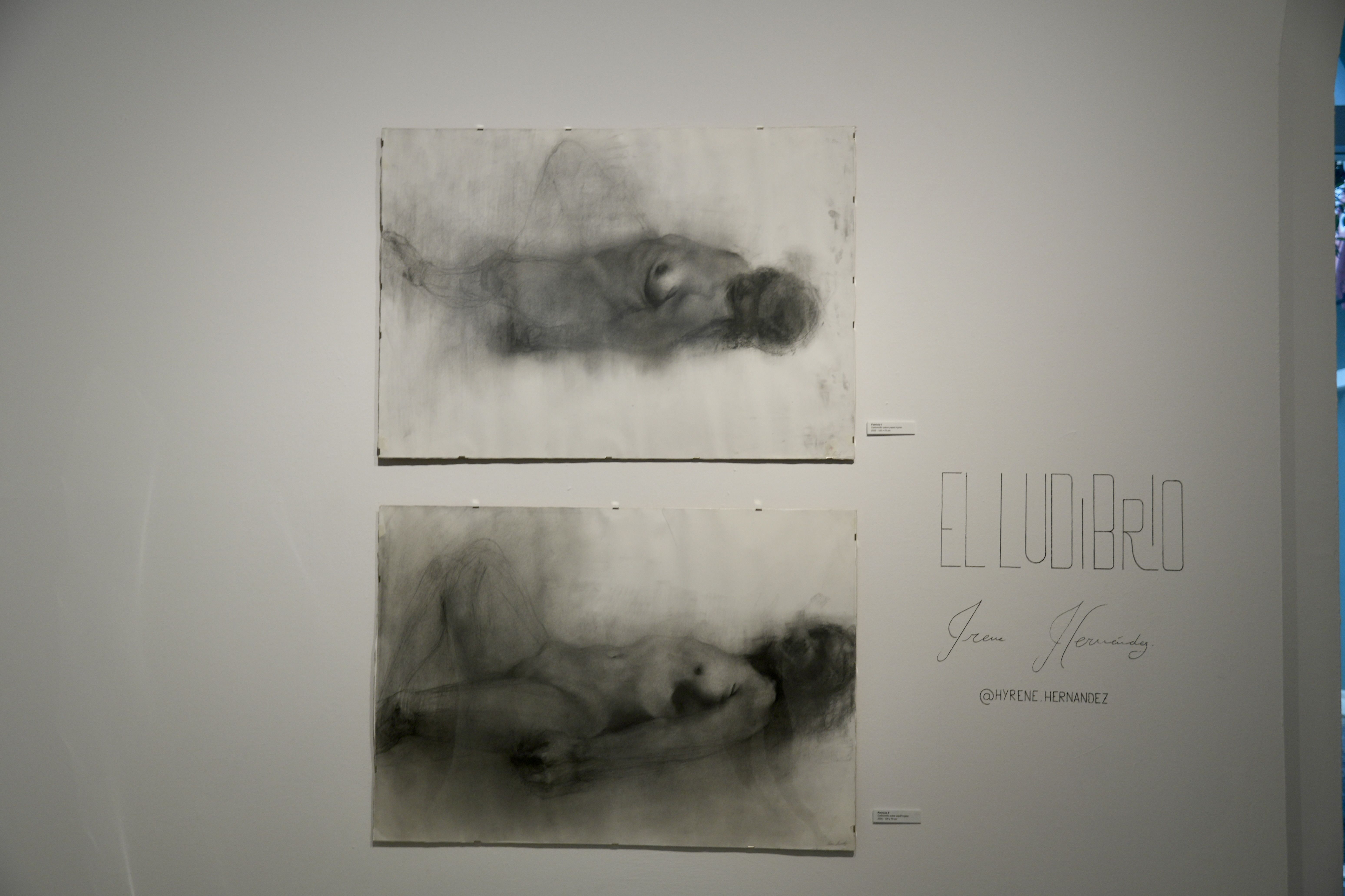 Presentación de la exposición de Irene Hernández “El Ludibrio” en la Sala Azul