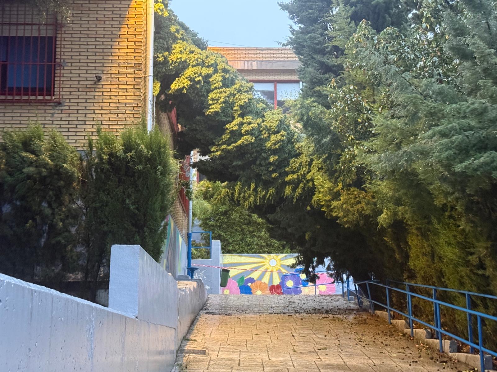 Uno de los árboles que ha derribado el viento en el Colegio El Carmen