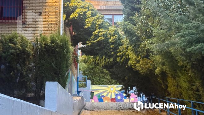 Uno de los árboles que ha derribado el viento en el Colegio El Carmen