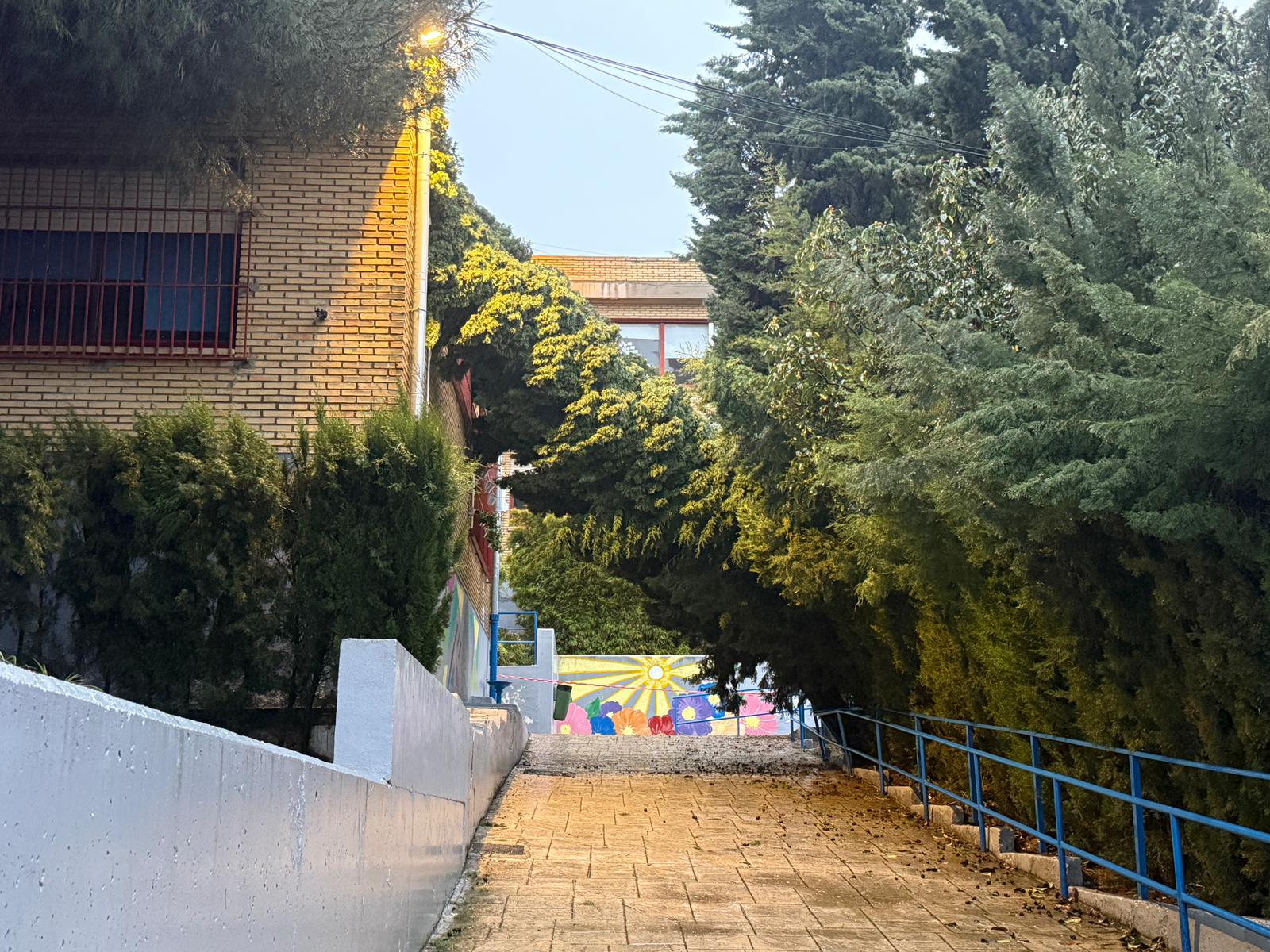Caída de un árbol en el patio del colegio El Carmen