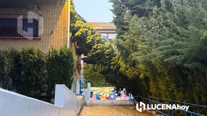 Caída de un árbol en el patio del colegio El Carmen